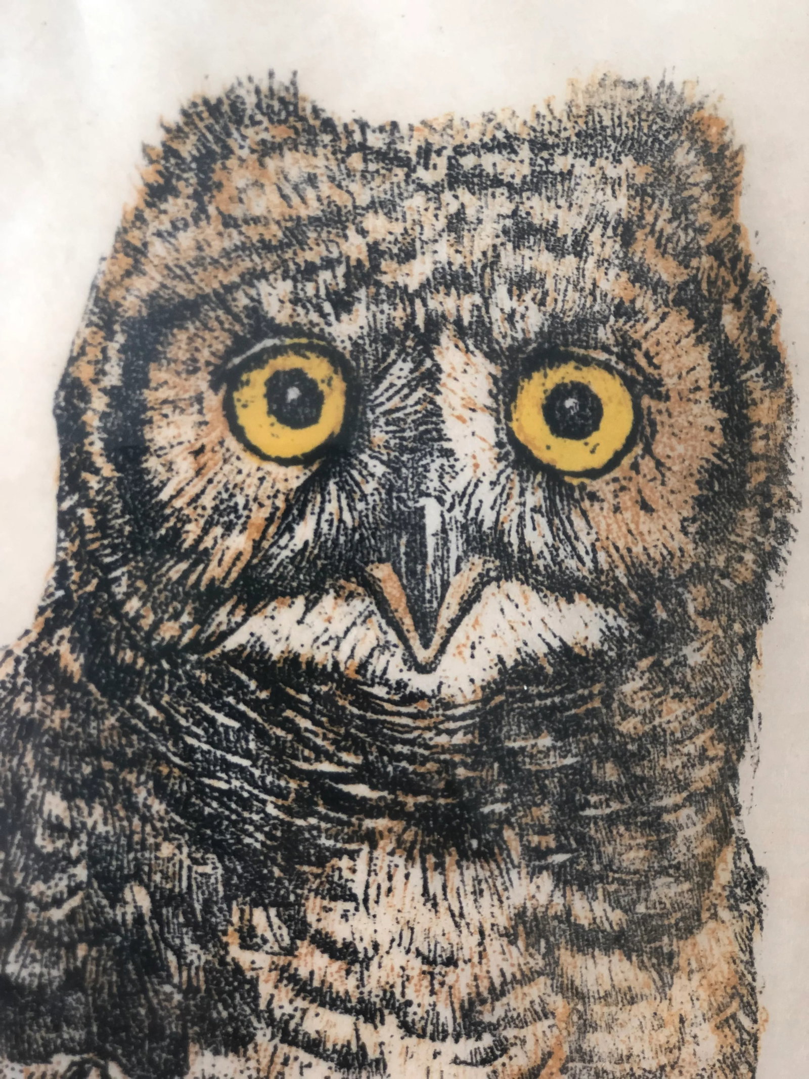 1975 Martha Cawley Owl Woodblock, "Young Great Horned Owl", #1/100, Framed - 6