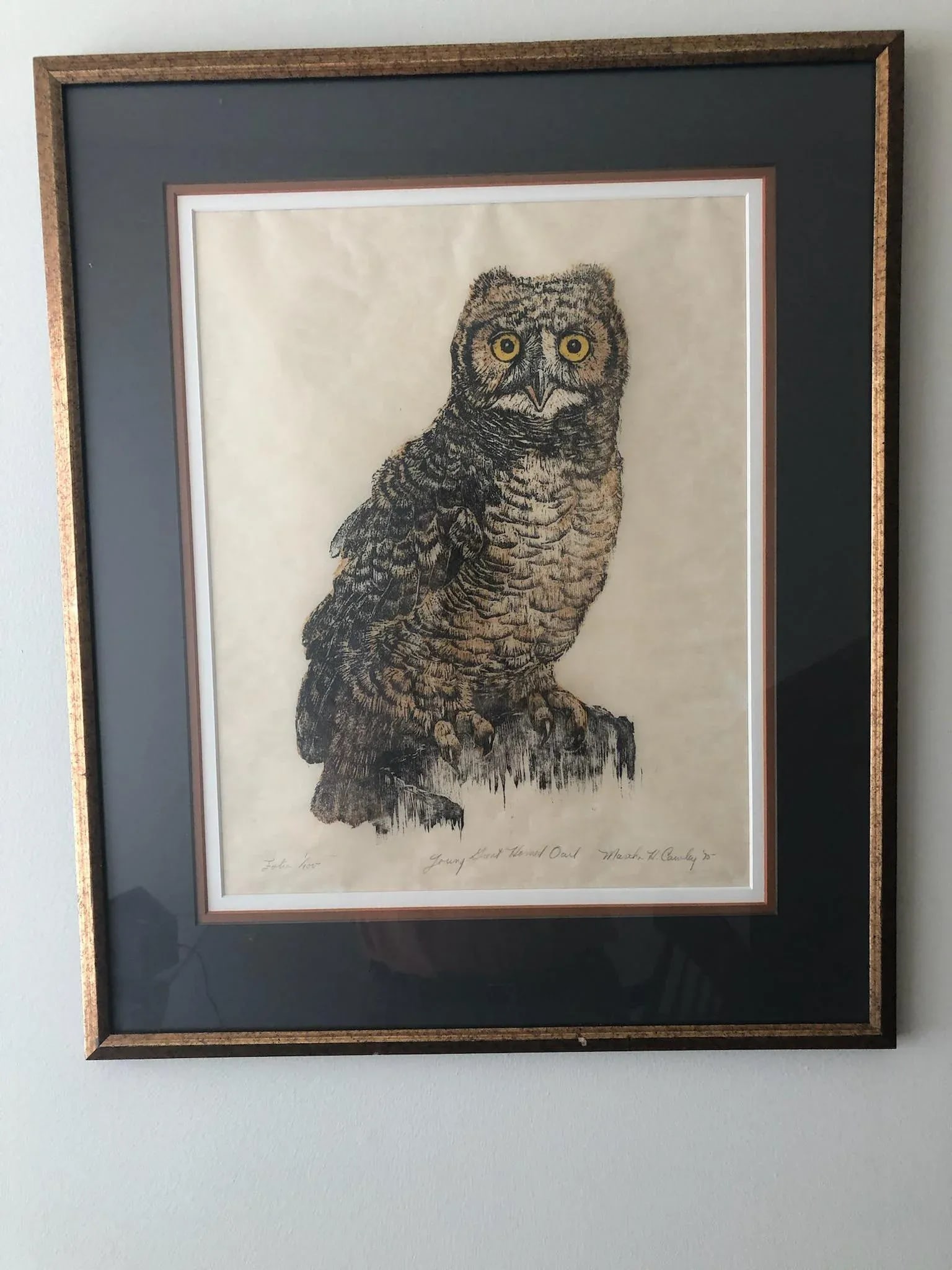 1975 Martha Cawley Owl Woodblock, "Young Great Horned Owl", #1/100, Framed - 7