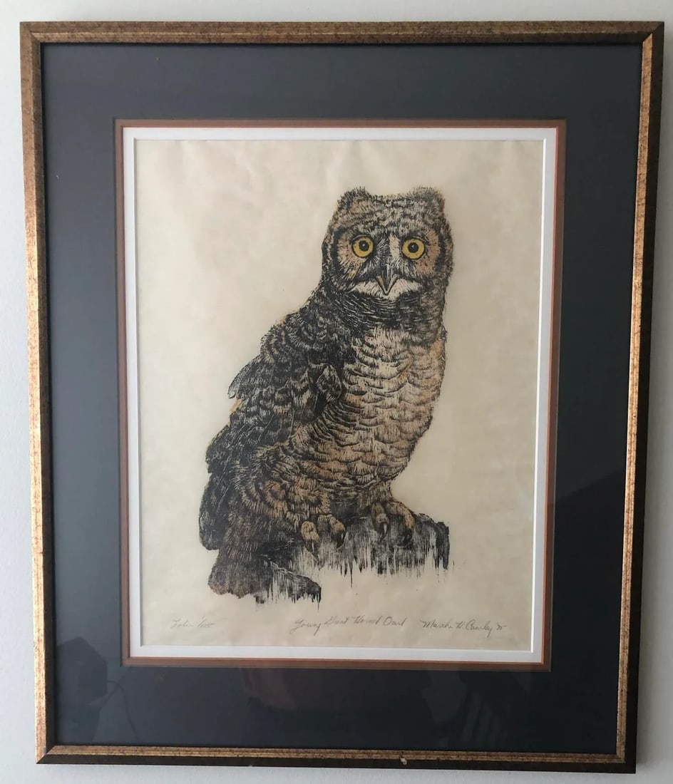 1975 Martha Cawley Owl Woodblock, "Young Great Horned Owl", #1/100, Framed - 8