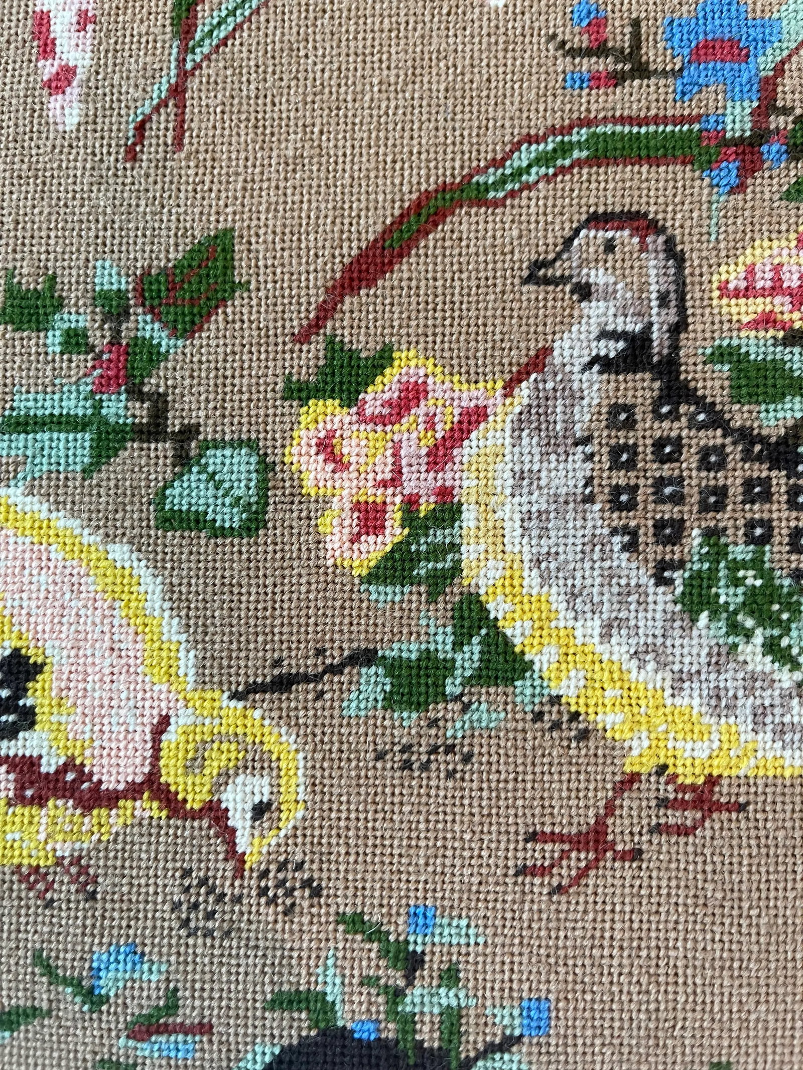 Early 20th Century Asian Pheasant Bird Motif Needle Point Wall Art Framed - 10