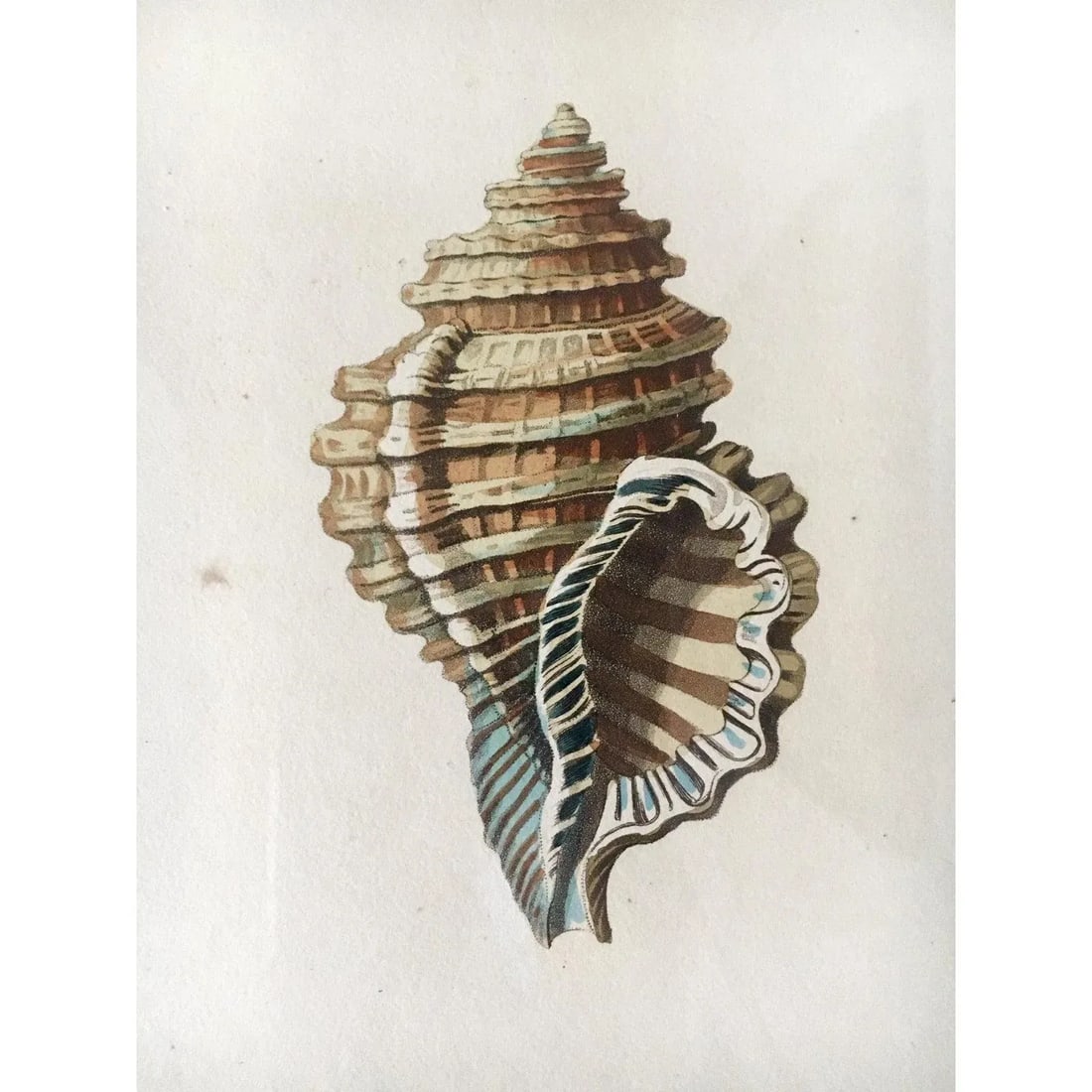 1810 Antique George Perry "Monoplex" English Engraved Aquatint Print - 2