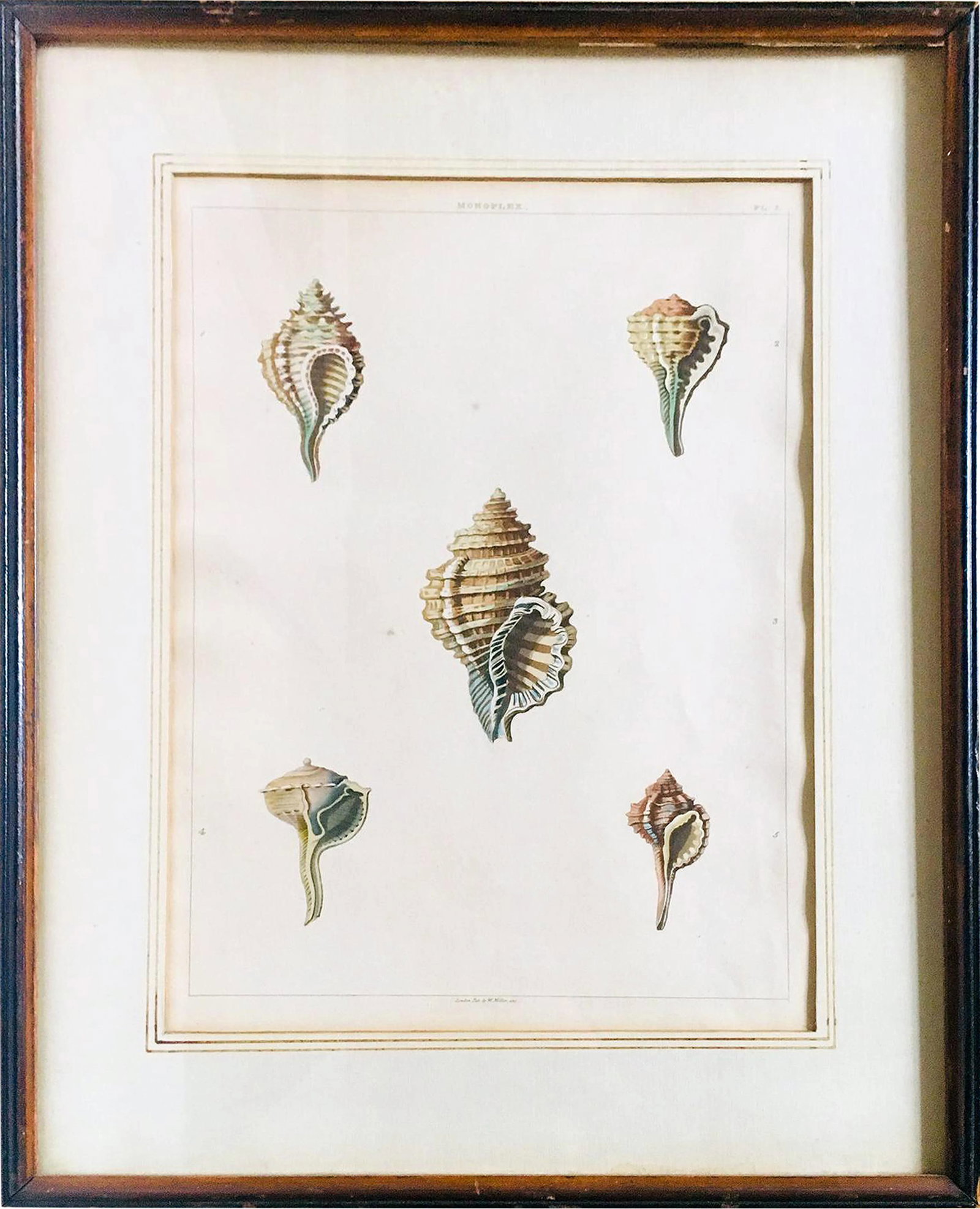 1810 Antique George Perry "Monoplex" English Engraved Aquatint Print - 8