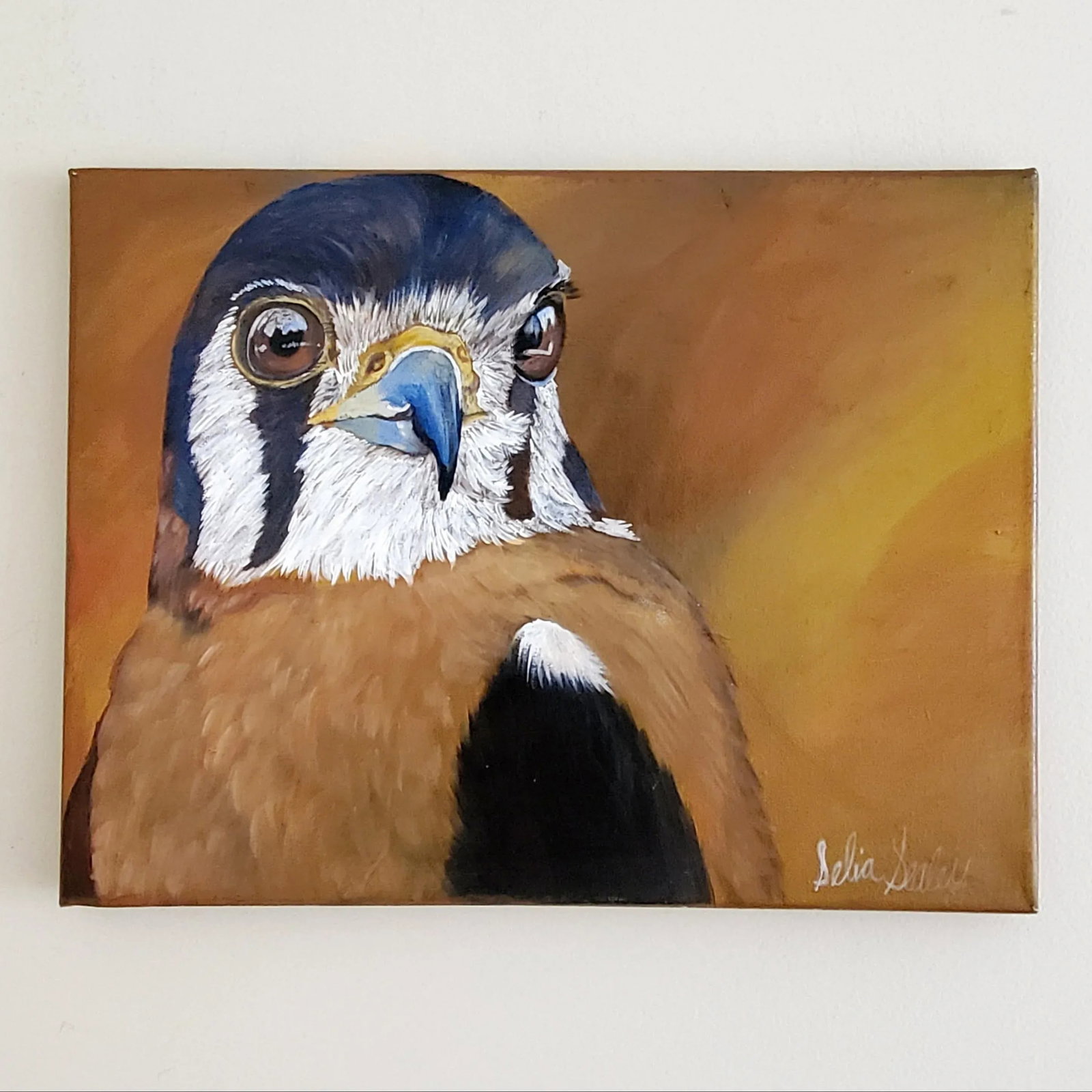 "American Kestrel" Contemporary Original Oil Painting on Canvas - 10