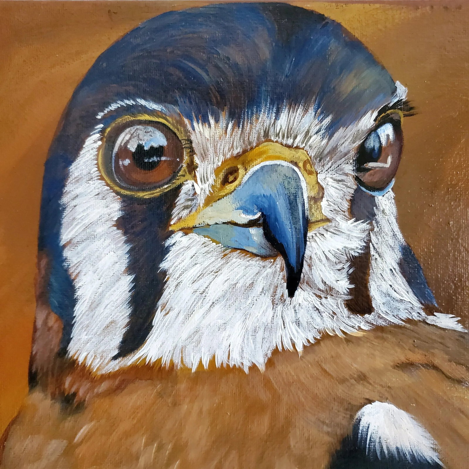 "American Kestrel" Contemporary Original Oil Painting on Canvas - 2