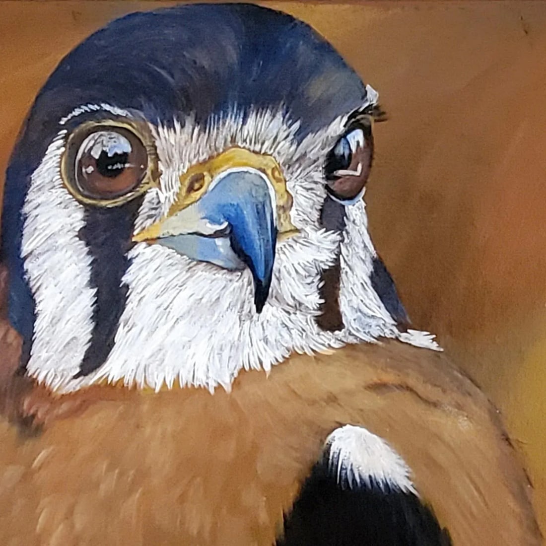 "American Kestrel" Contemporary Original Oil Painting on Canvas - 4