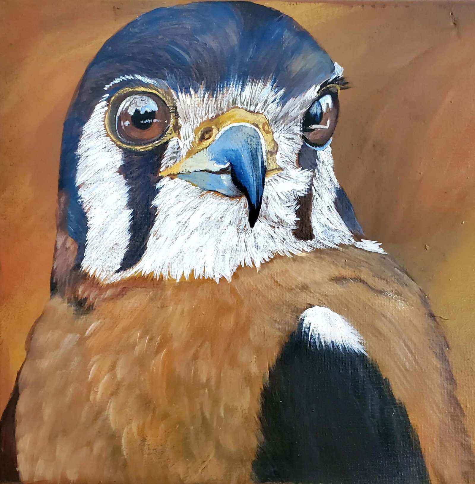 "American Kestrel" Contemporary Original Oil Painting on Canvas - 8