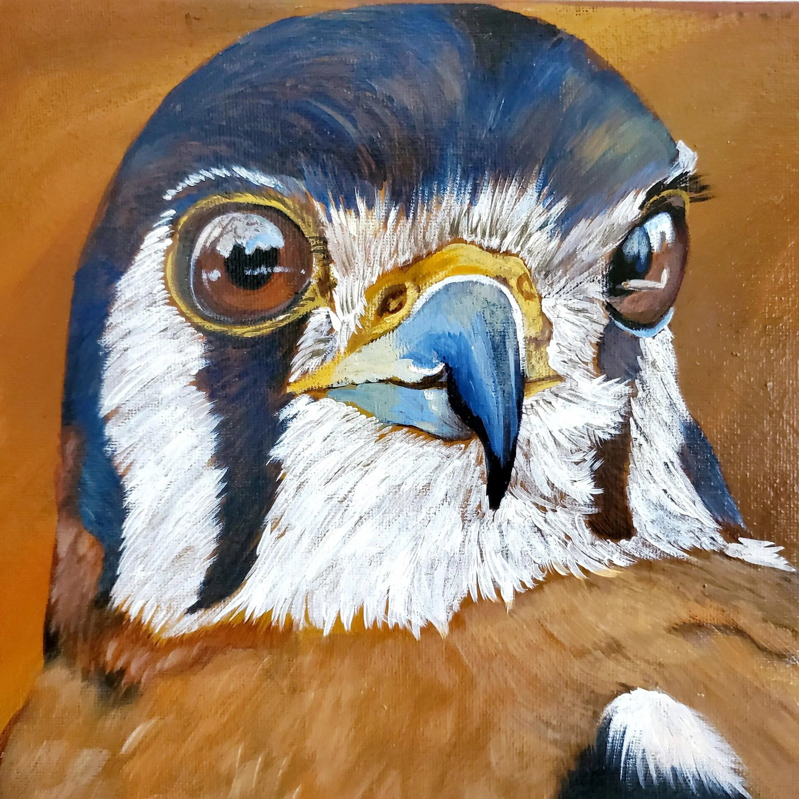 "American Kestrel" Contemporary Original Oil Painting on Canvas - 9