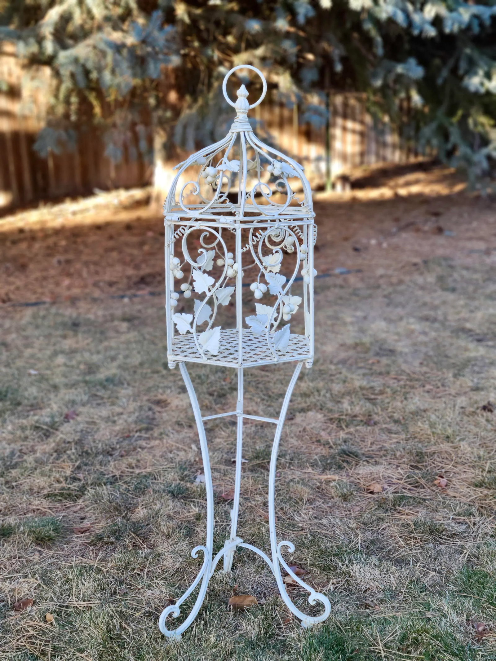Vintage Italian Painted Wrought Iron Birdcage Plant Stand - 2