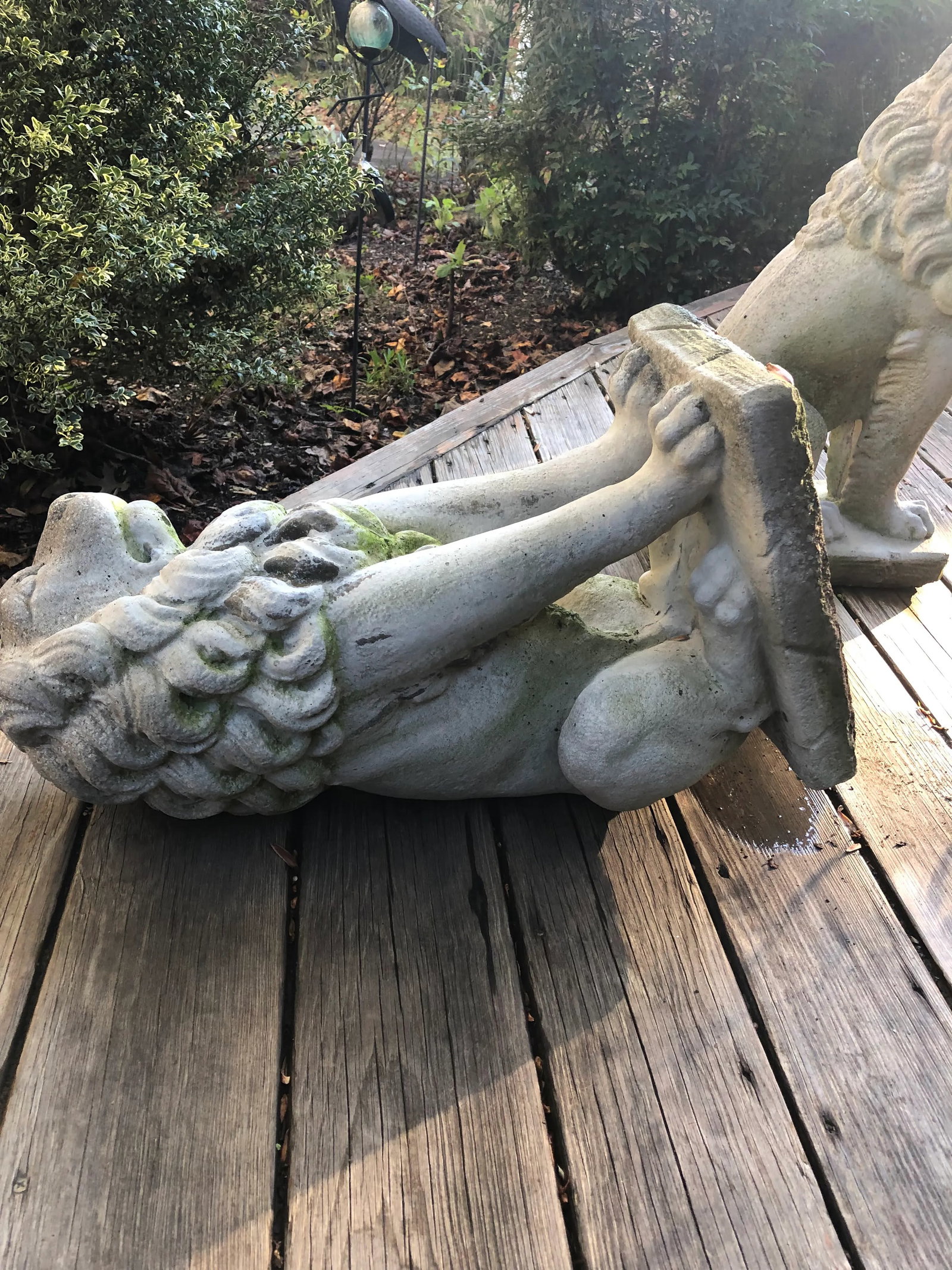 Concrete Sitting Lion Statues - Set of 2 - 10
