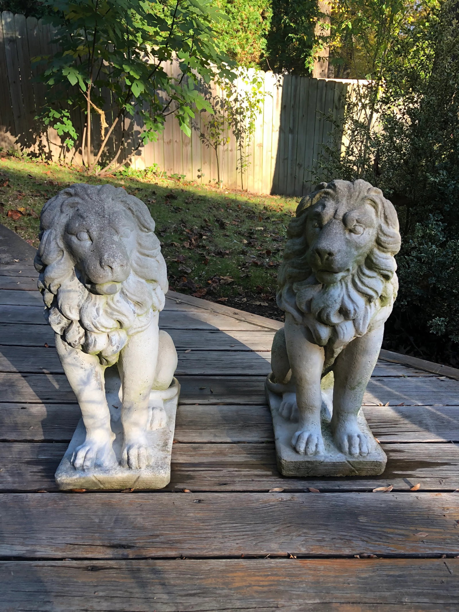 Concrete Sitting Lion Statues - Set of 2 - 11