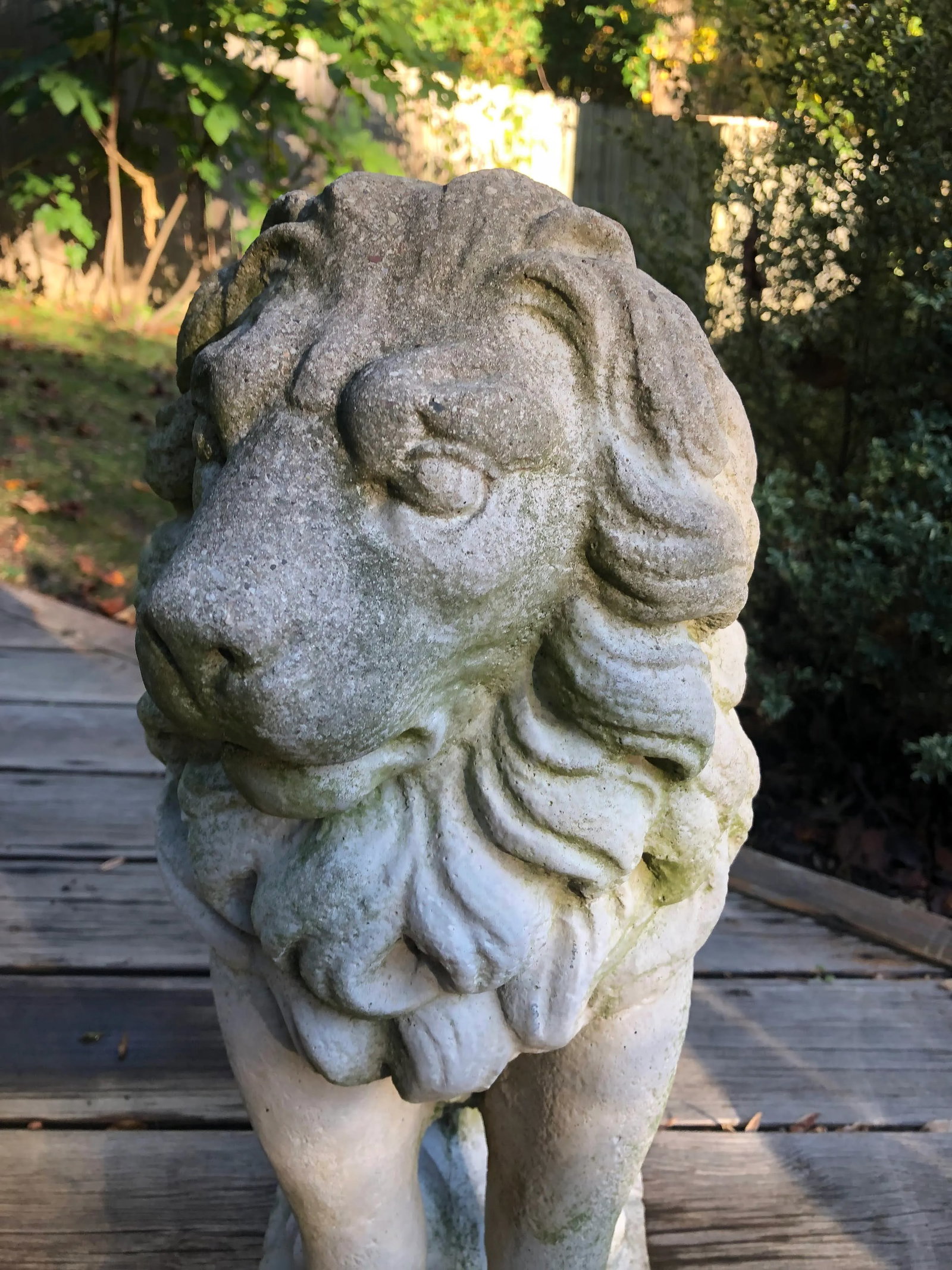 Concrete Sitting Lion Statues - Set of 2 - 2
