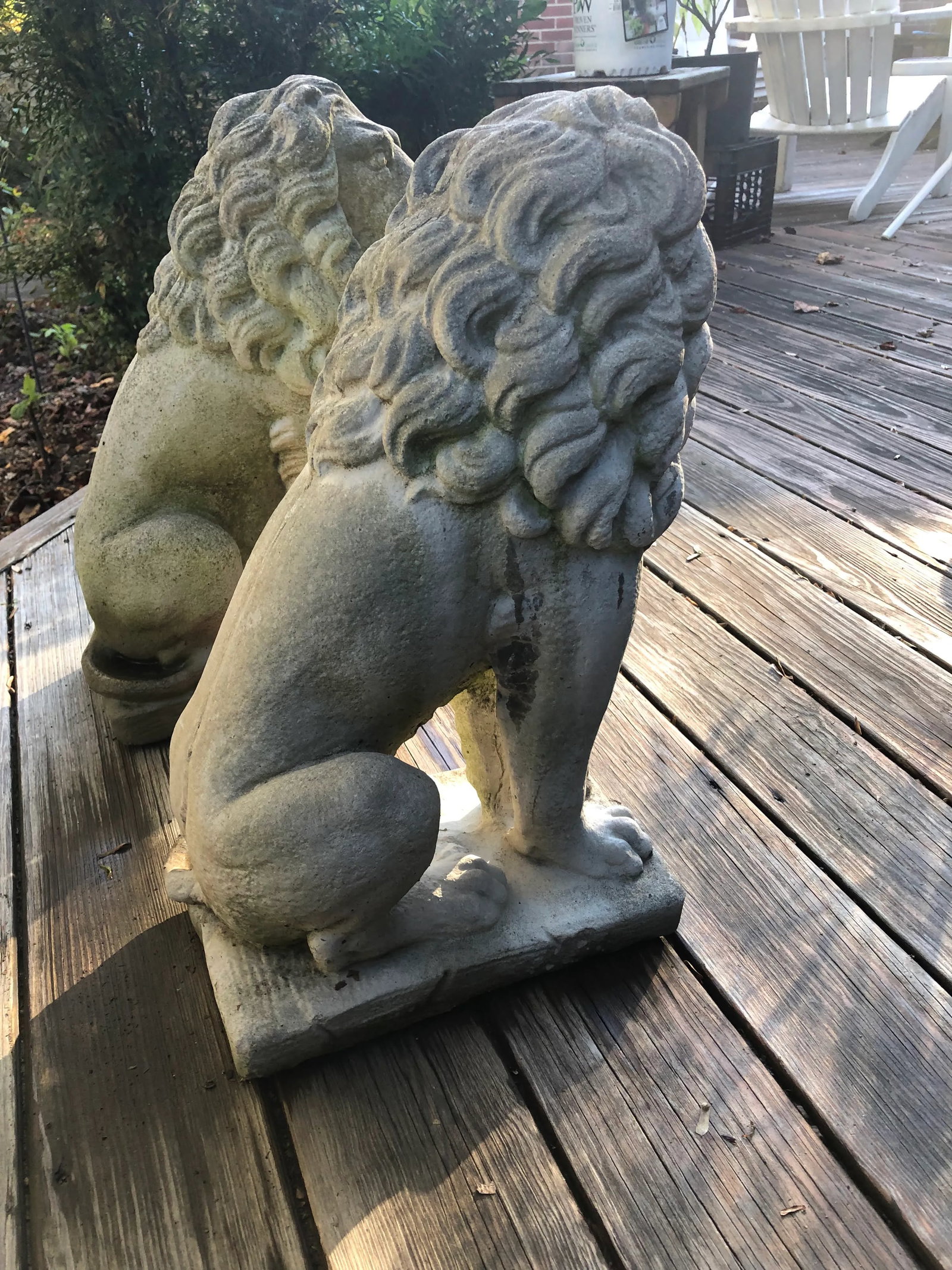 Concrete Sitting Lion Statues - Set of 2 - 3