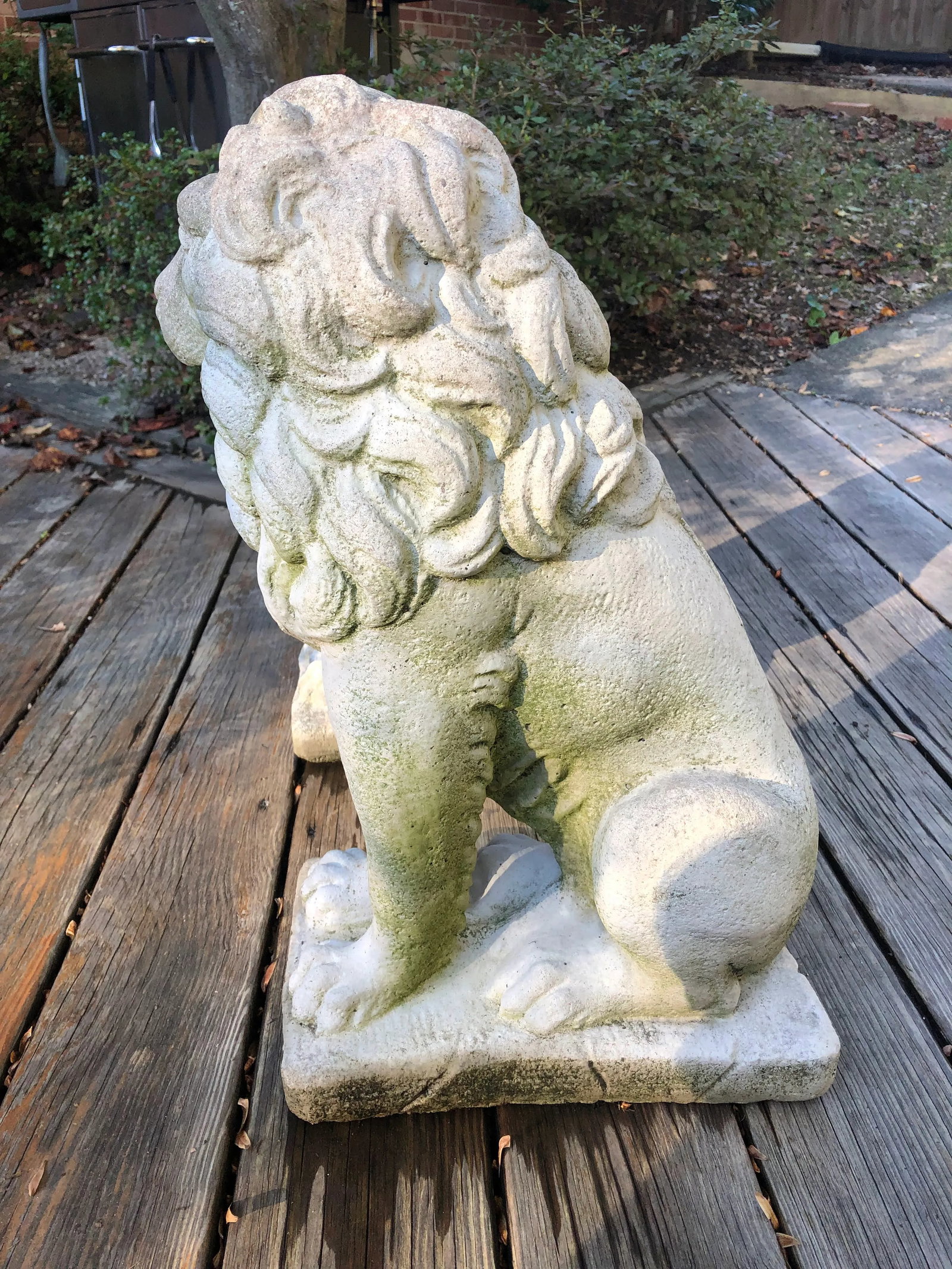 Concrete Sitting Lion Statues - Set of 2 - 5