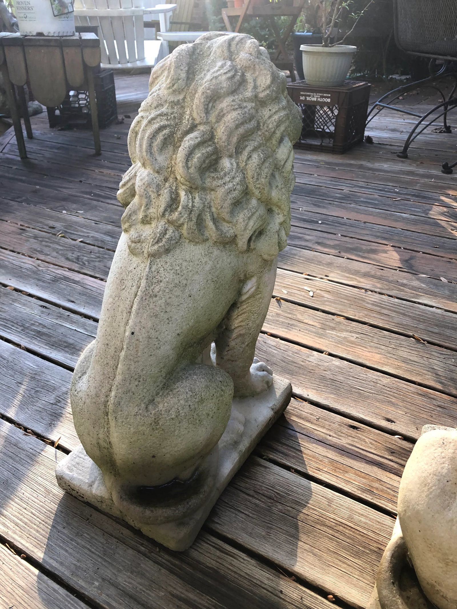 Concrete Sitting Lion Statues - Set of 2 - 6