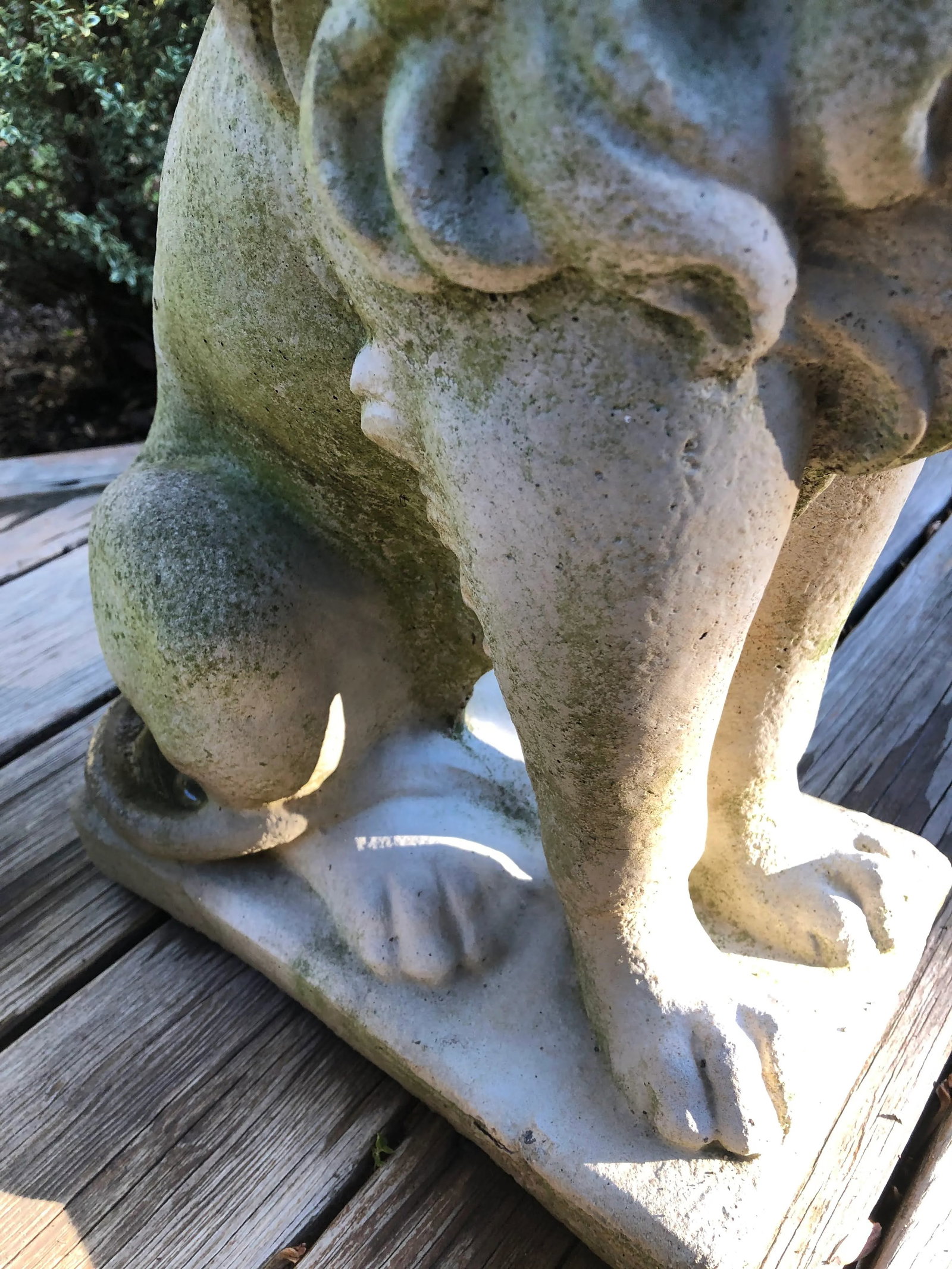 Concrete Sitting Lion Statues - Set of 2 - 7