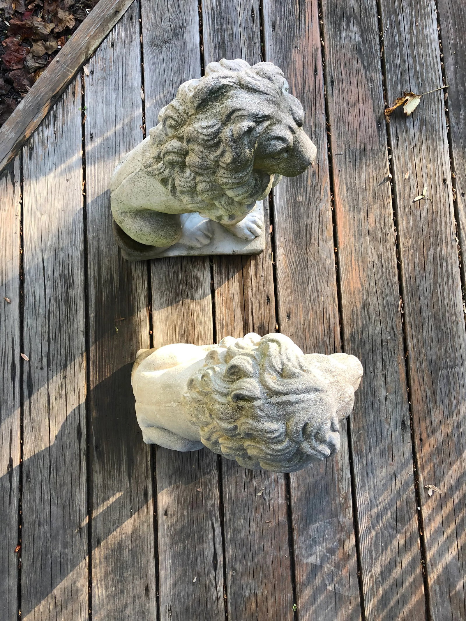 Concrete Sitting Lion Statues - Set of 2 - 9