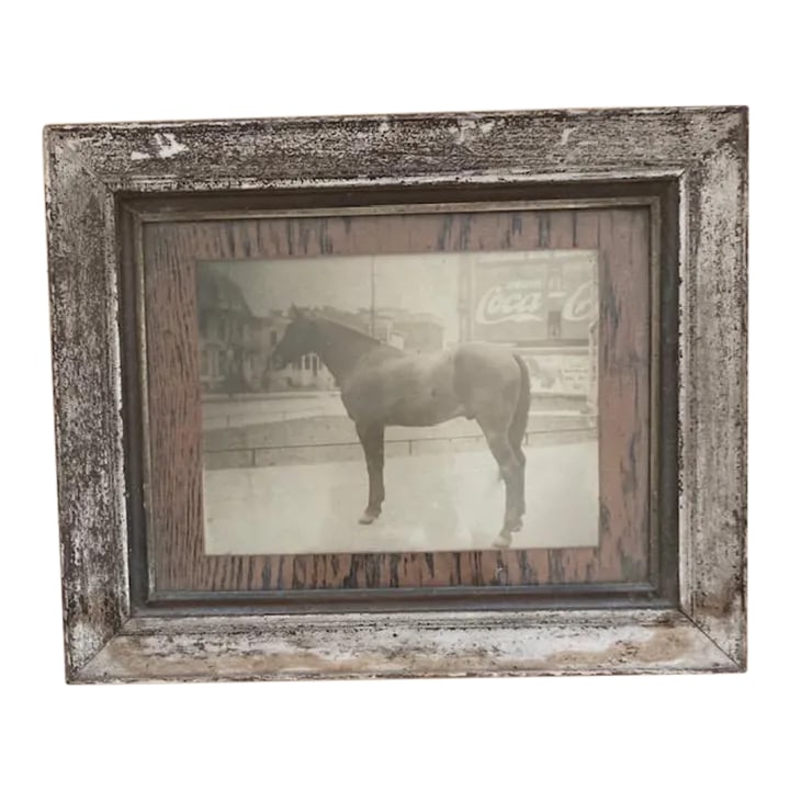 Vintage Photograph of a Horse in Town, Framed: This is a vintage photo of a horse in town. Standing in front of an old Coca-Cola sign Condition: Alterations: Original Condition Unaltered Imperfections: Some Imperfections Condition Notes: