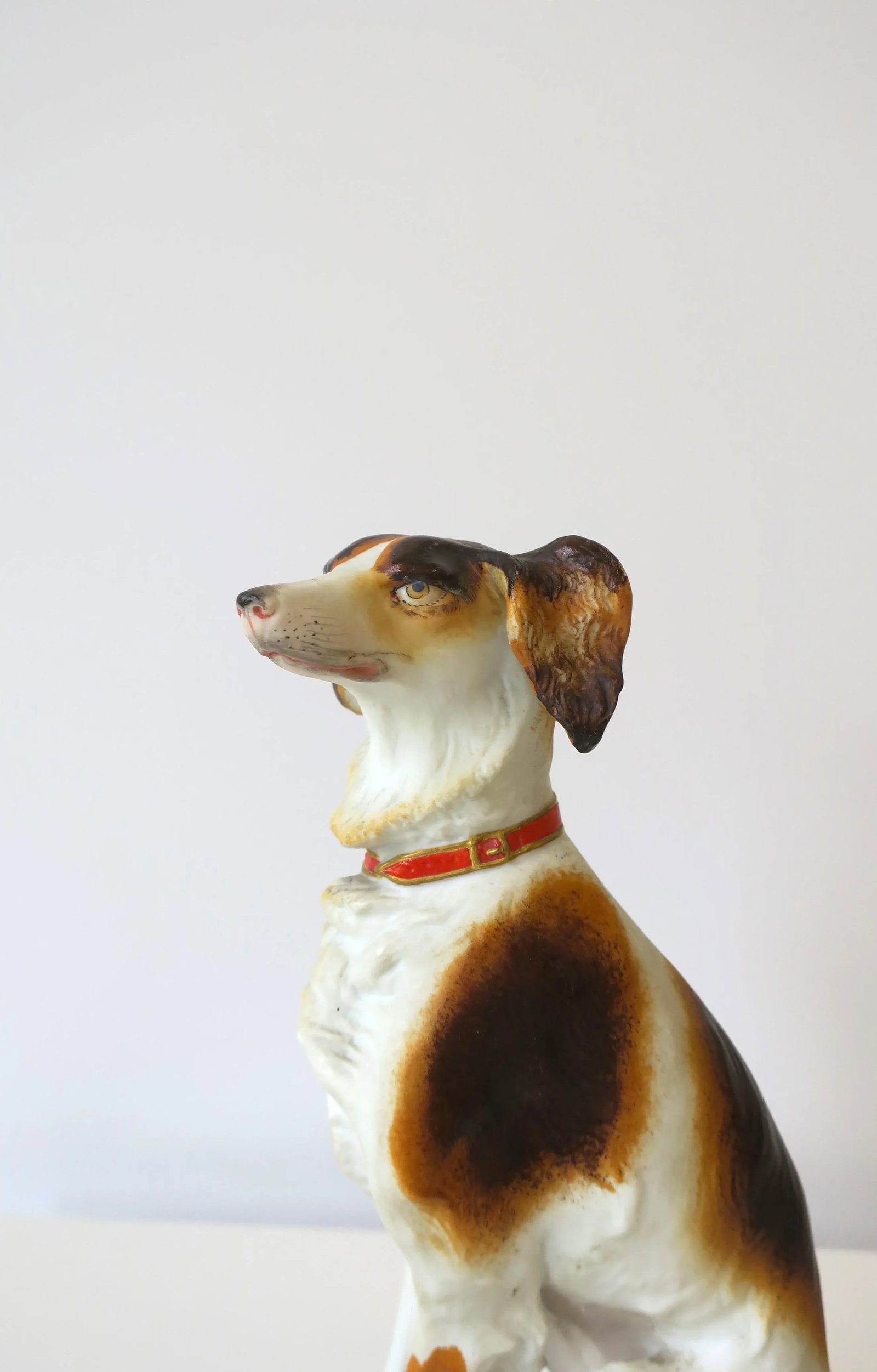 Dog on Fancy Pillow With Tassels Decorative Object - 6