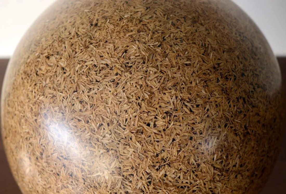 Rice Husk Lucite Sphere Sculpture - 3