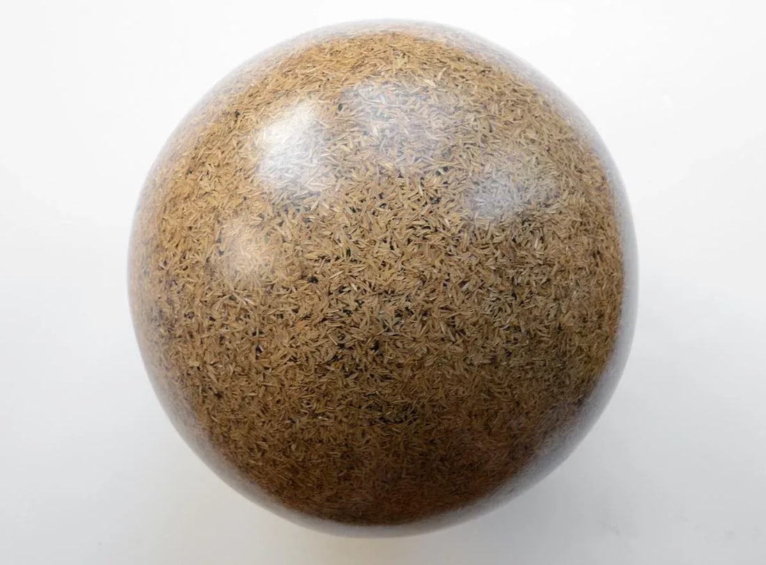 Rice Husk Lucite Sphere Sculpture - 5