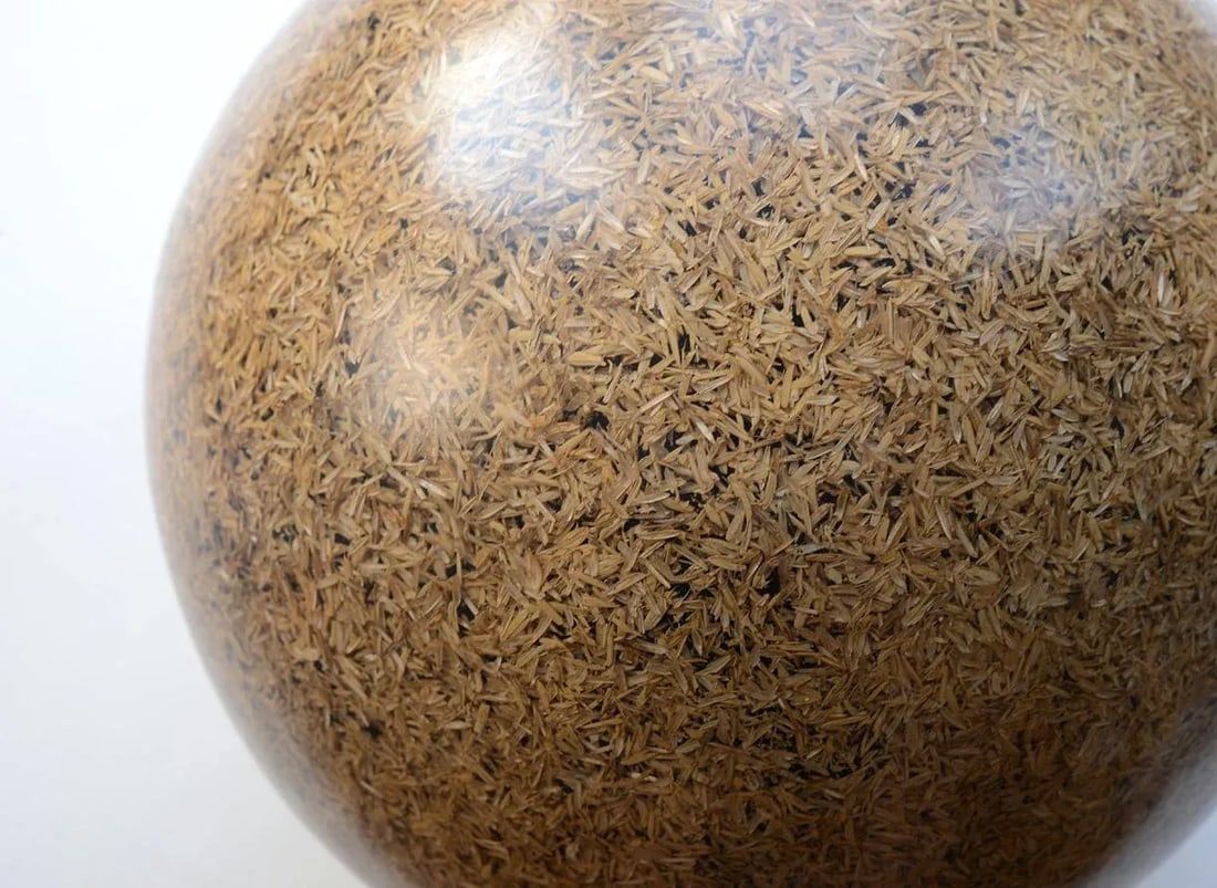 Rice Husk Lucite Sphere Sculpture - 6