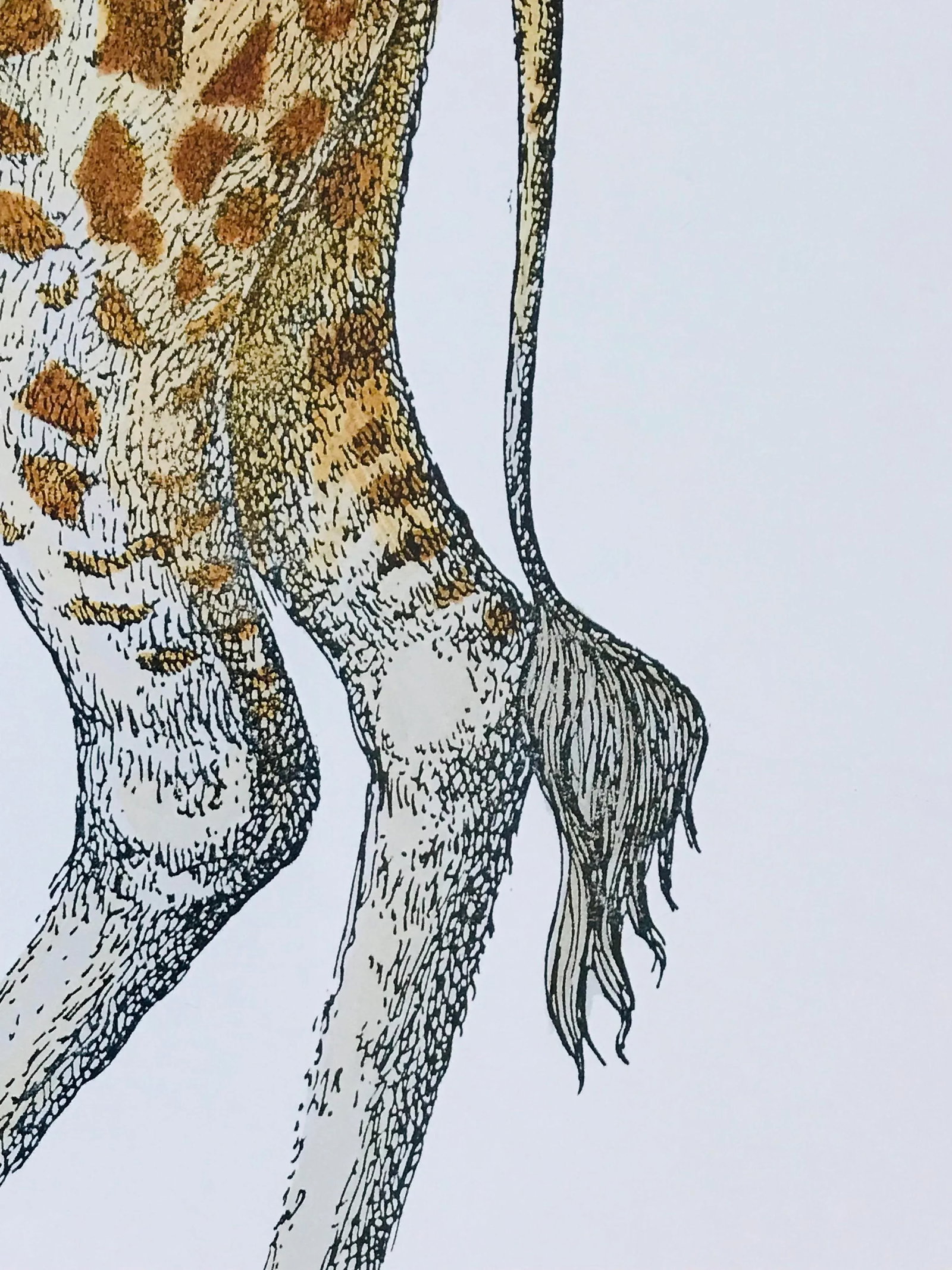 1990s Fornasetti Framed Lithograph of a Giraffe - 10