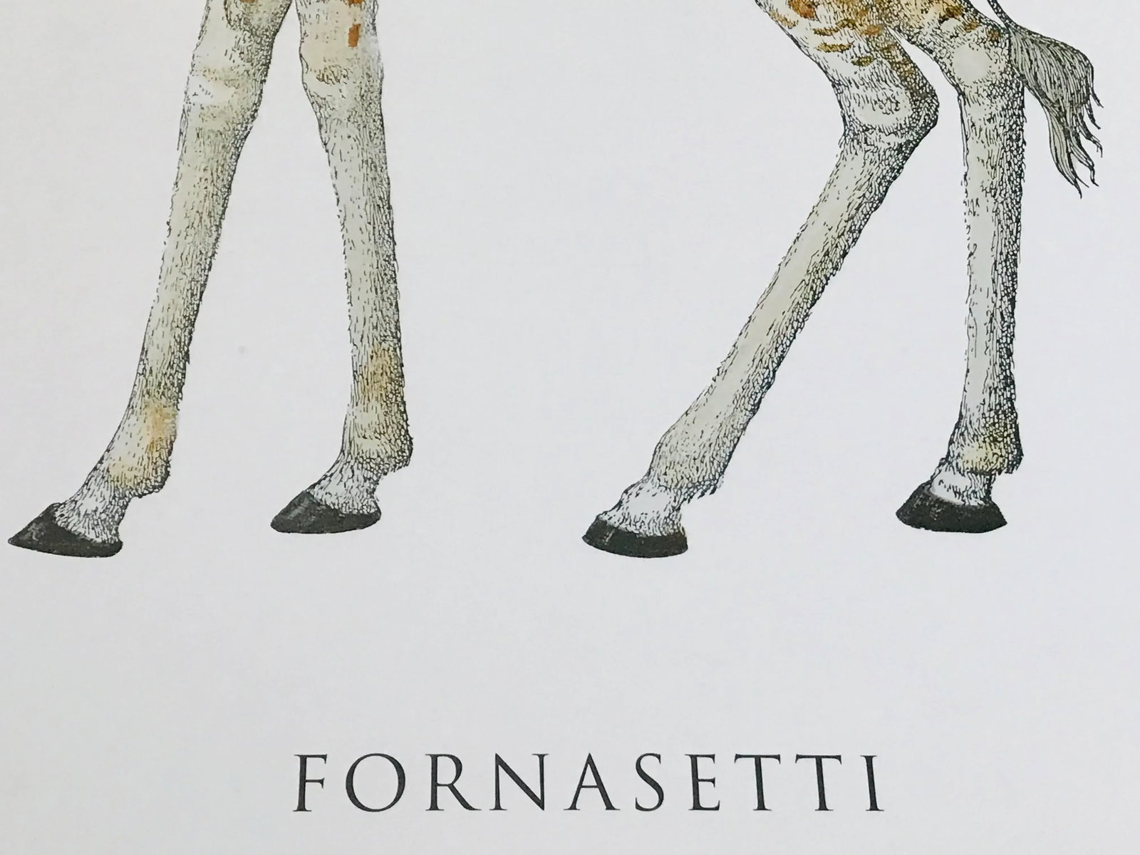 1990s Fornasetti Framed Lithograph of a Giraffe - 2
