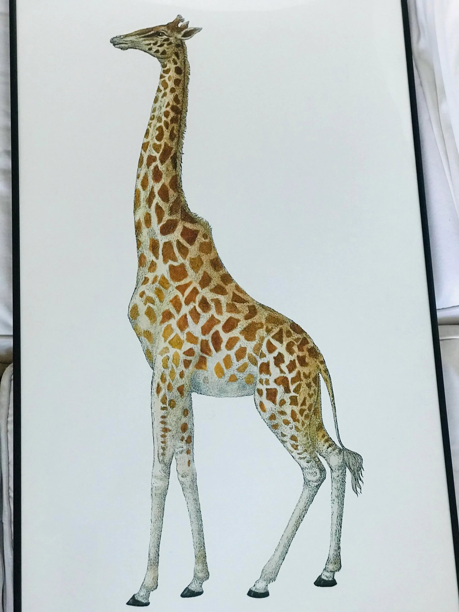 1990s Fornasetti Framed Lithograph of a Giraffe - 3