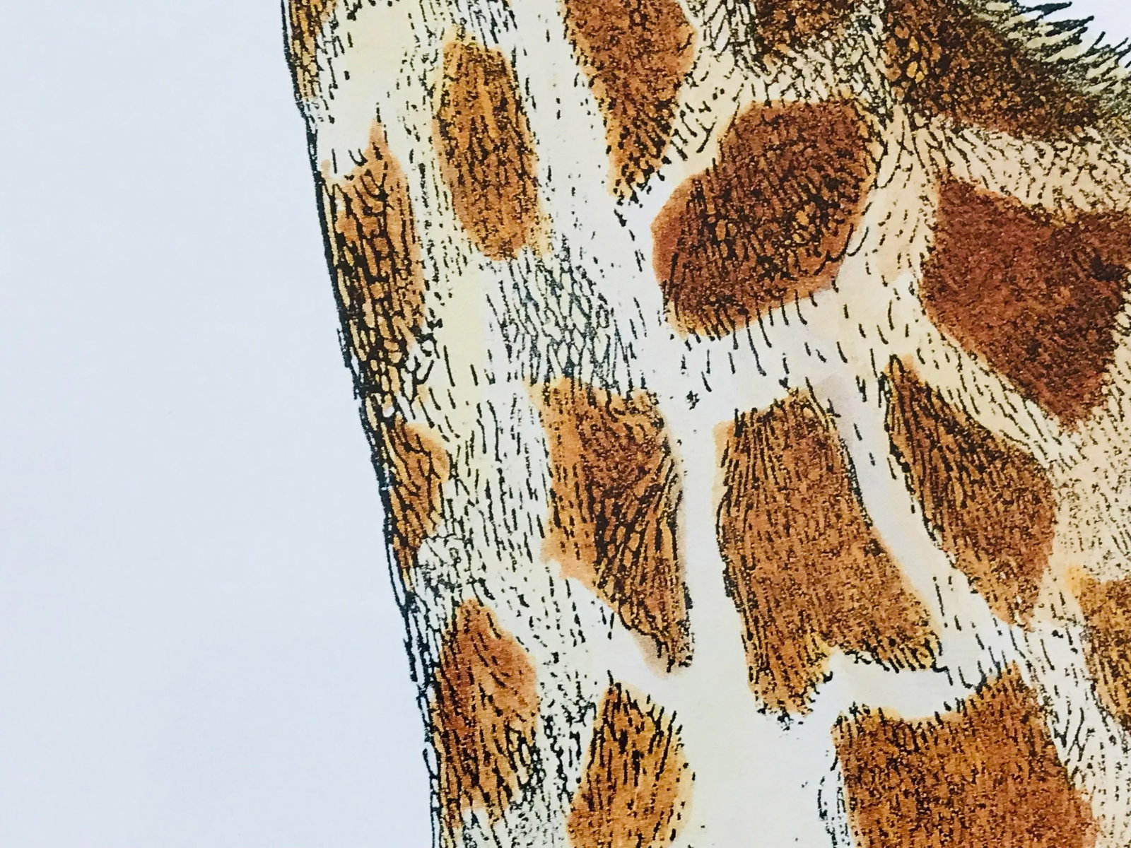 1990s Fornasetti Framed Lithograph of a Giraffe - 9