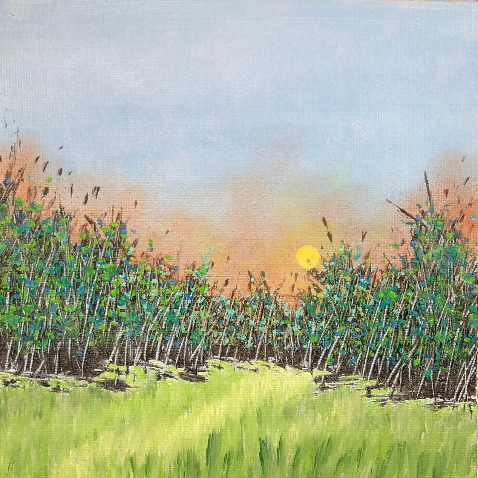 "Day's End" Contemporary Original Impressionist Style Landscape Painting by Deb Bossert: This lovely nature scene landscape painting is titled "Day's End" and is size 6" x 6". This unique art depicts a wonderful scene at sunset with a forest of trees and the setting sun in the background