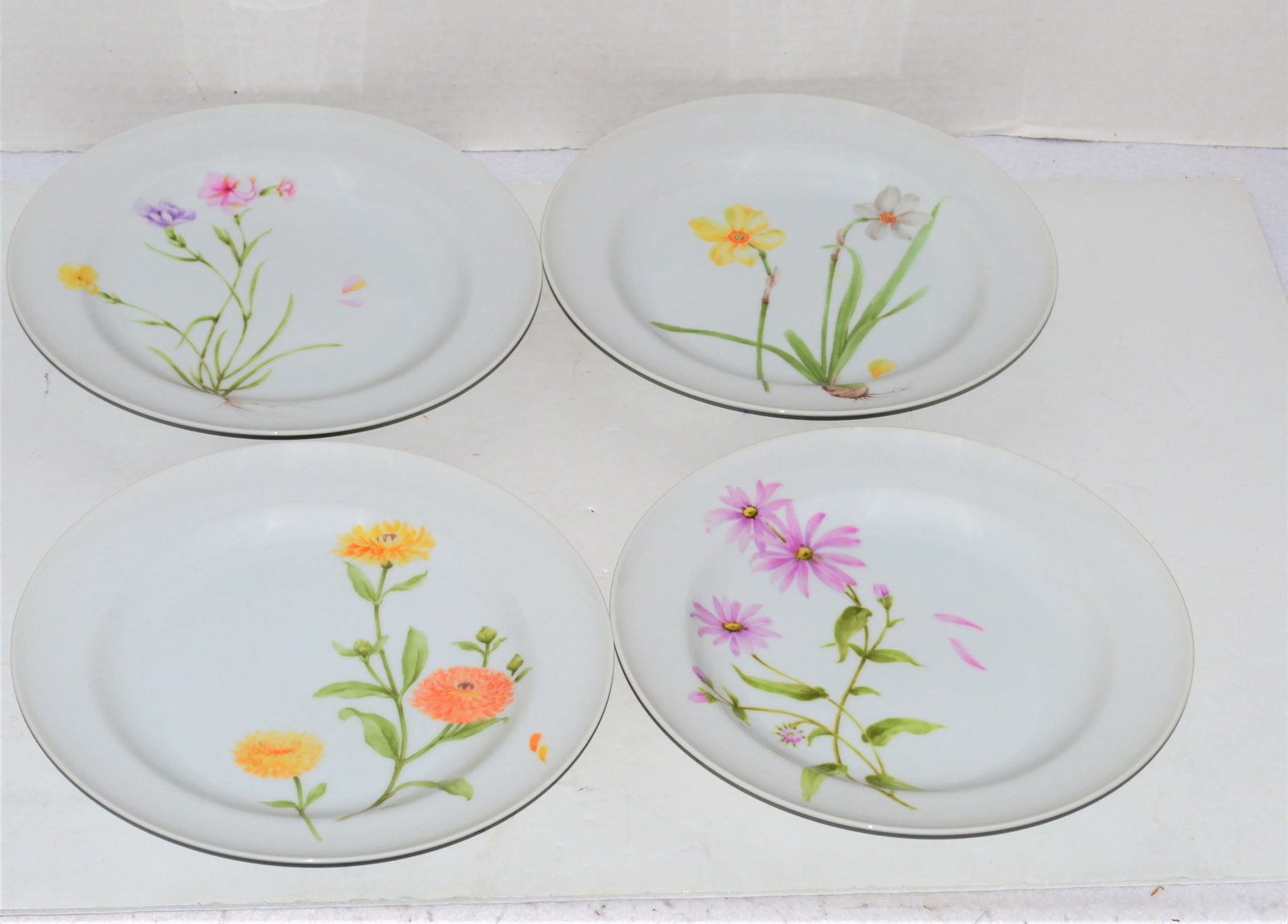 Mikasa Flower of the Month Dinner Plates - Set of 12 - 2