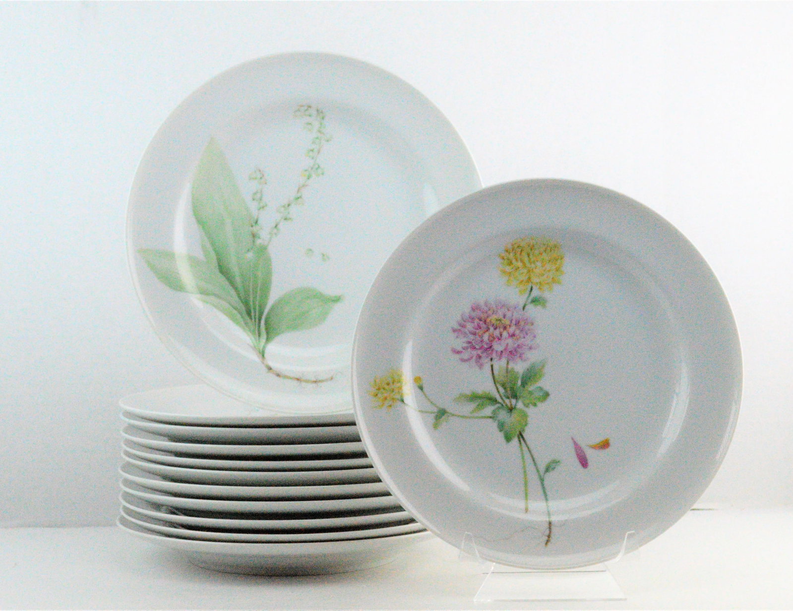 Mikasa Flower of the Month Dinner Plates - Set of 12 - 5