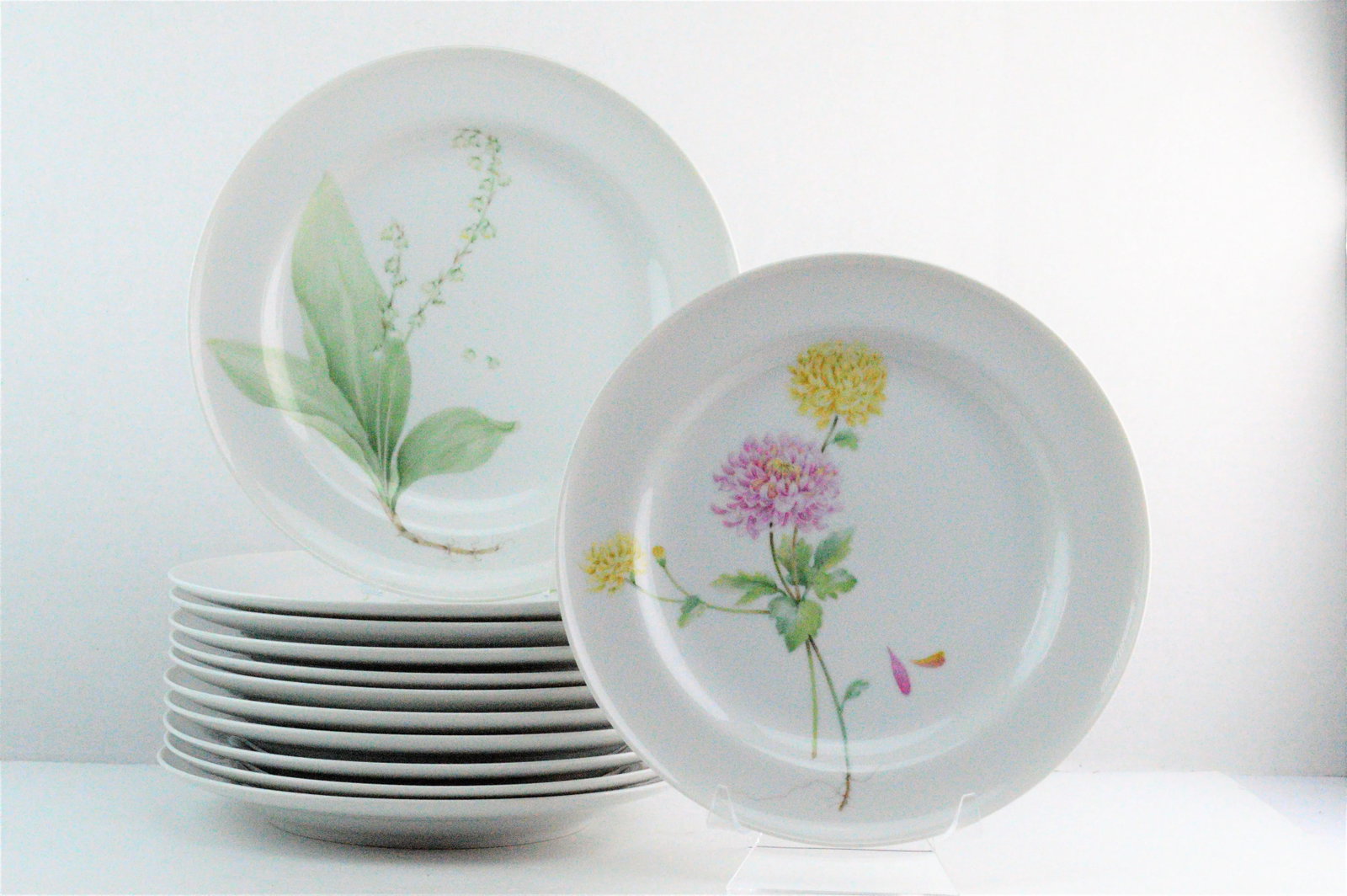 Mikasa Flower of the Month Dinner Plates - Set of 12 - 6