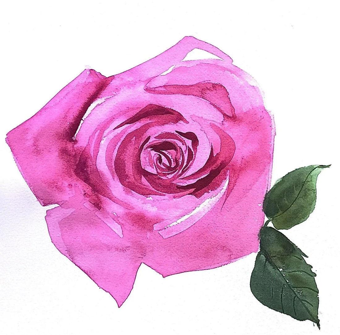 Pink Rose Floral, Original Watercolor Painting by Gretchen Kelly: I love painting flowers and this is one of four in this series of watercolor flowers. It measures 12x12" on Arches cotton rag paper. The second photo shows how the series can look together framed.