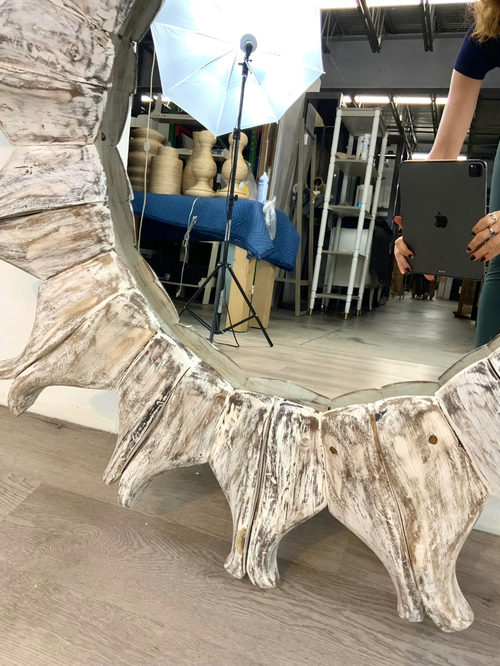 Currey & Co. Organic Modern White Washed Starburst Wall Mirror - 3
