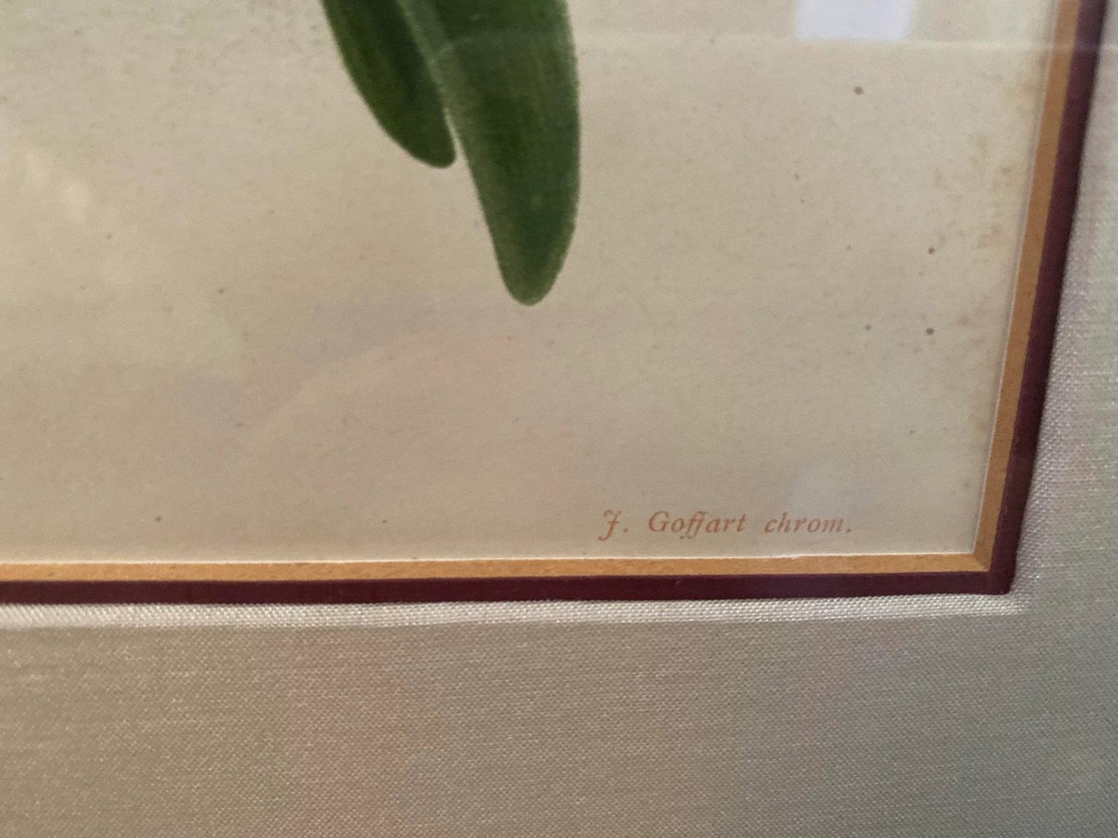 Late 19th Century Botanical Orchid Print, Framed - 3