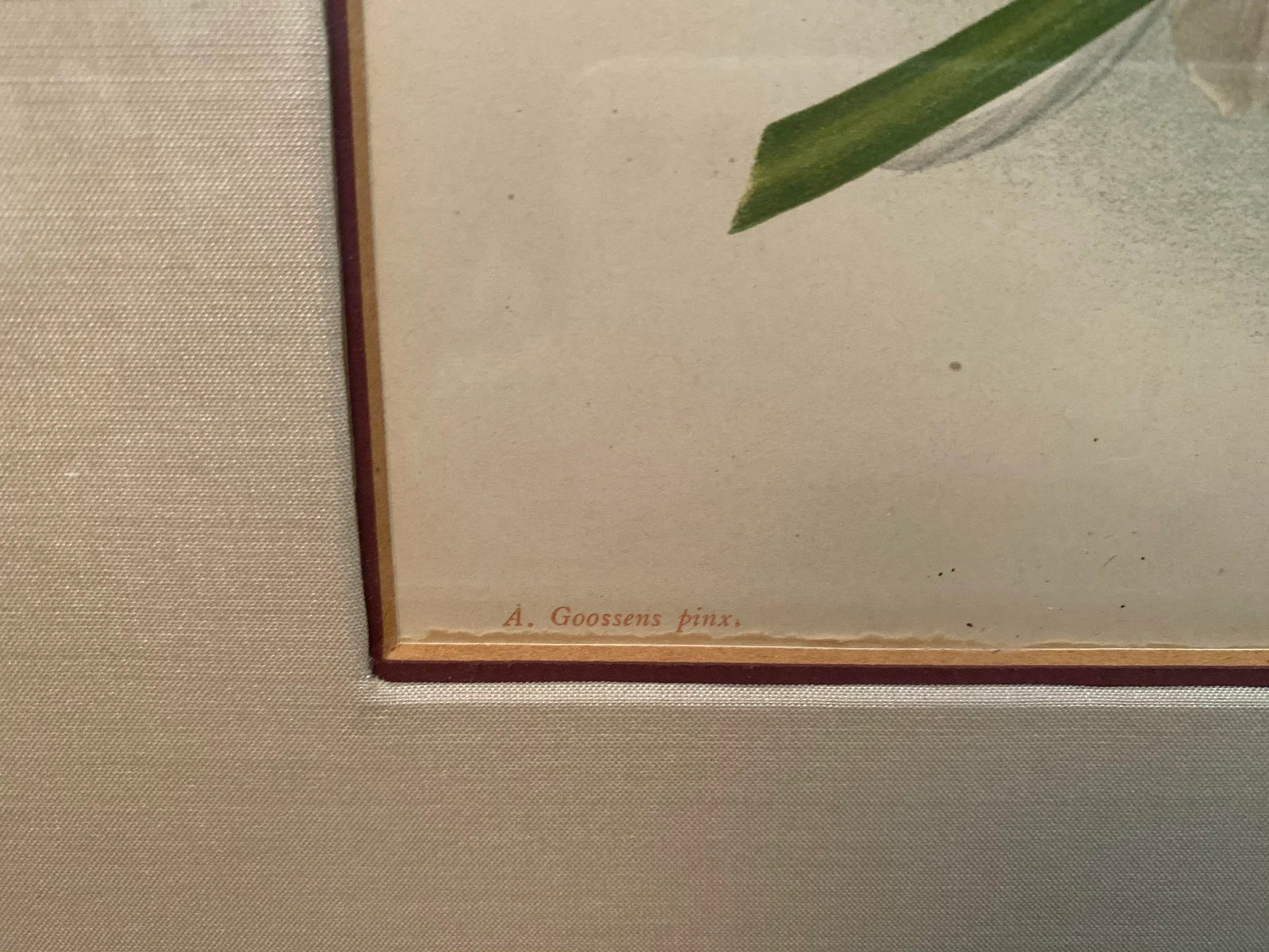Late 19th Century Botanical Orchid Print, Framed - 5