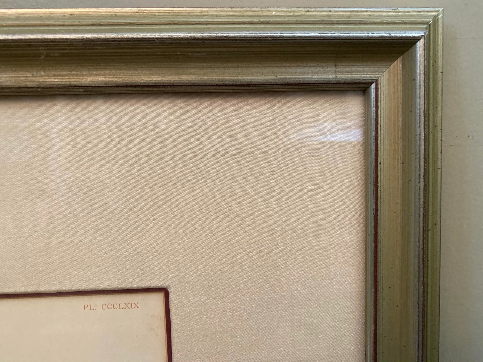 Late 19th Century Botanical Orchid Print, Framed - 7