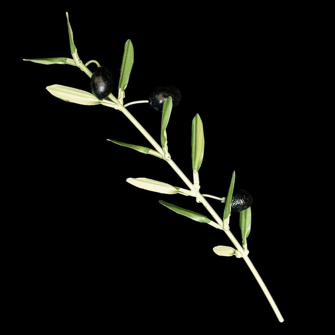 Pair of Olive Branch Sculptures - 3
