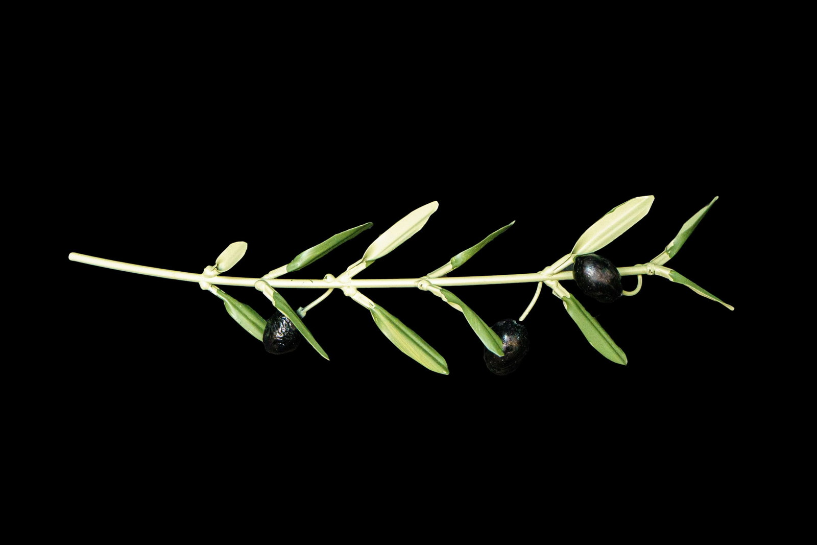 Pair of Olive Branch Sculptures - 4