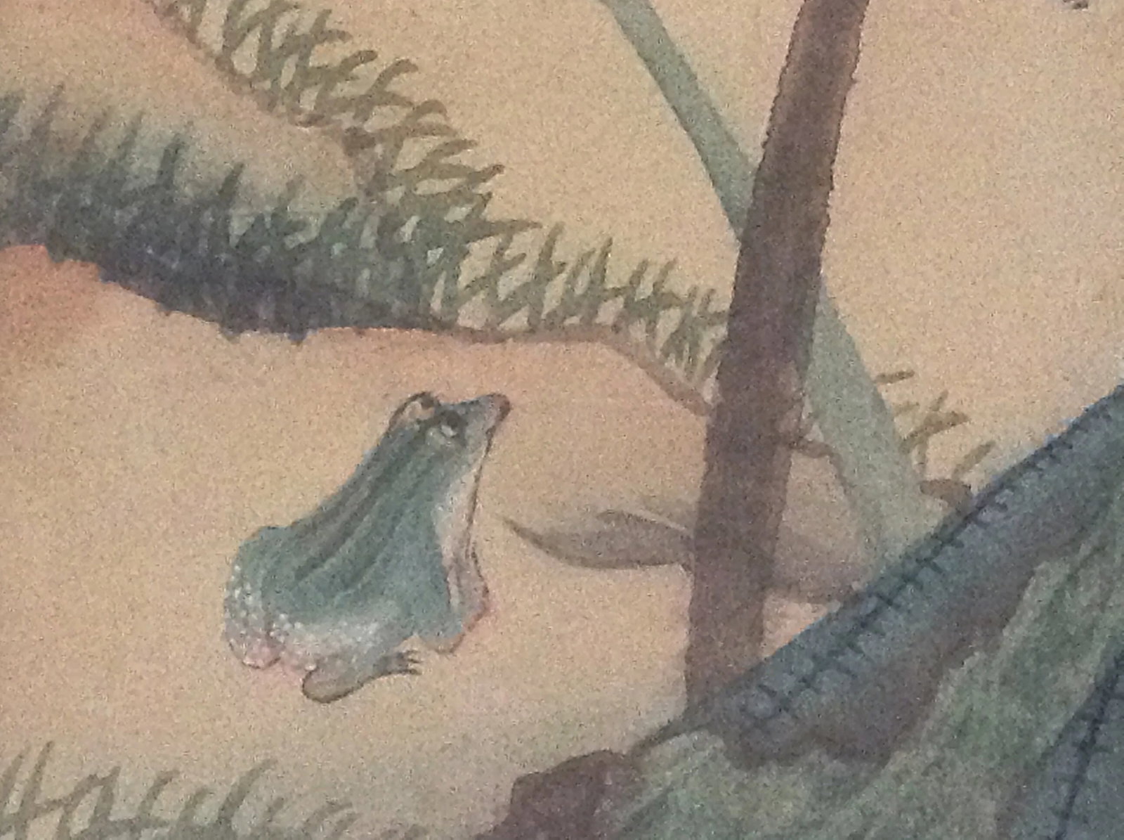 Japanese Watercolors of Flora and Fauna - a Pair - 3