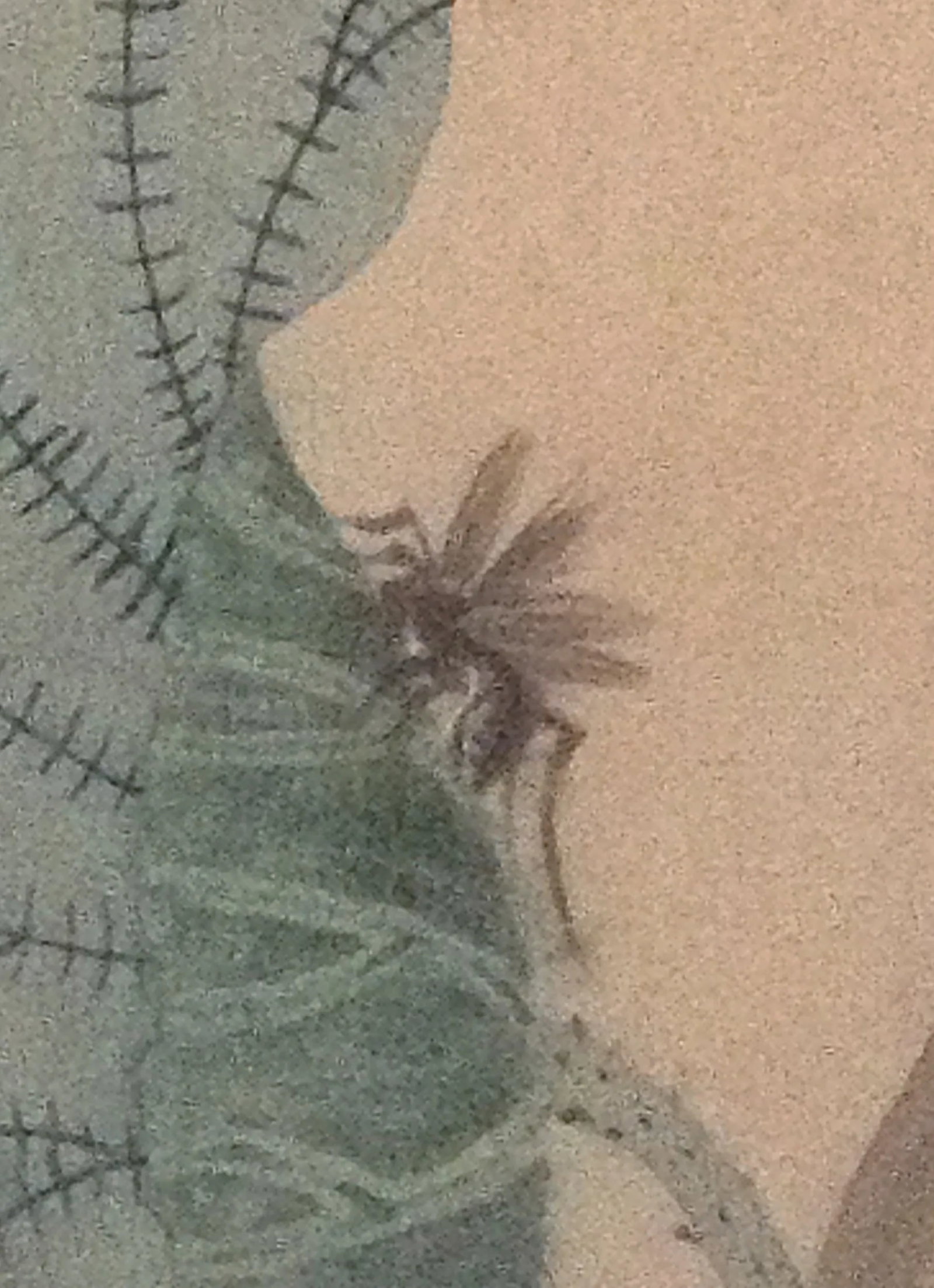 Japanese Watercolors of Flora and Fauna - a Pair - 5