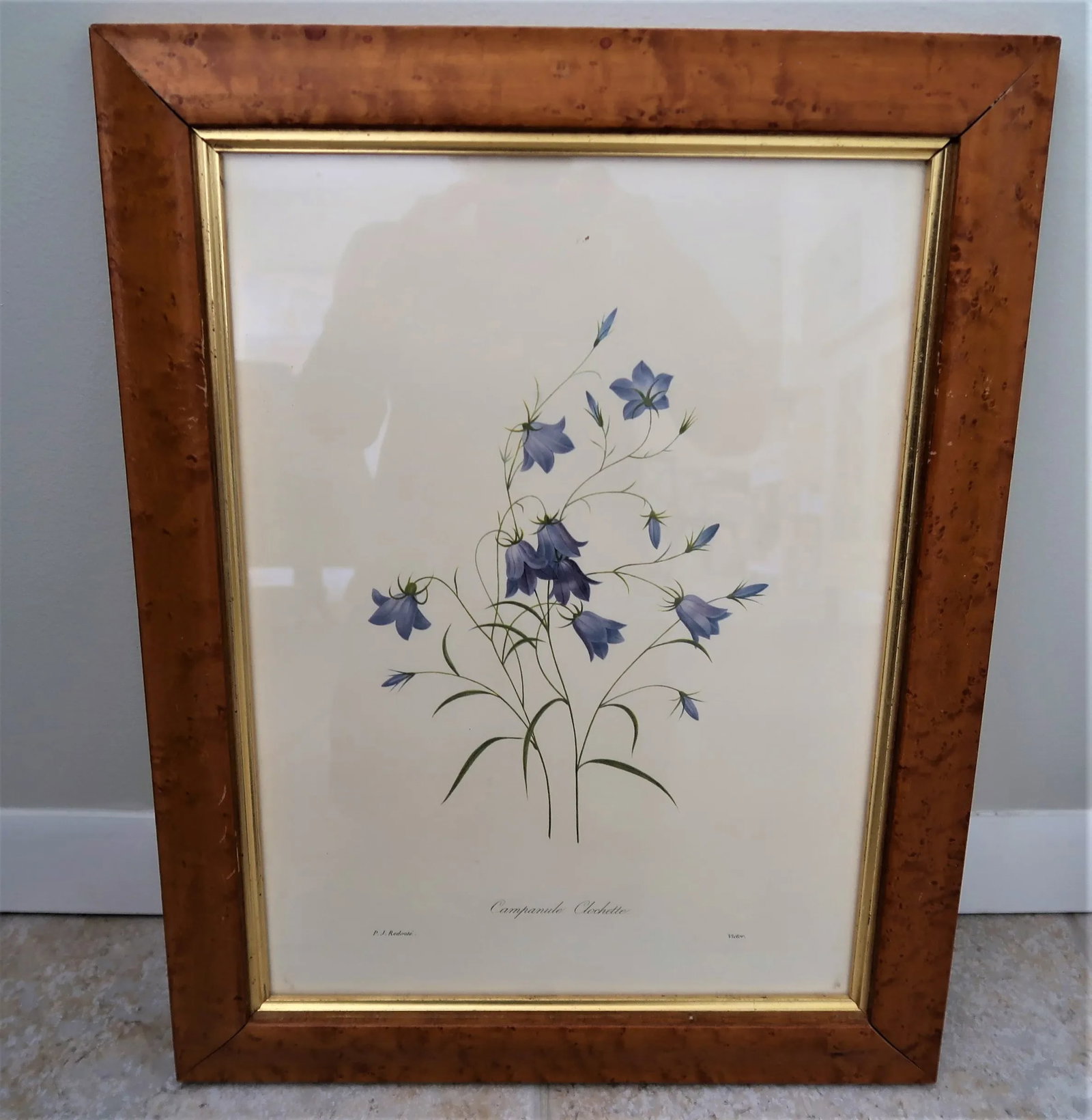Vintage Burlwood Framed Botanical Print Pierre-Joseph Redoute - a Pair - 3