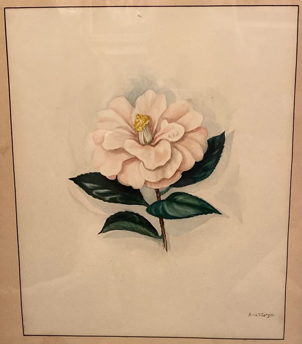 Early 20th Century Floral Watercolor Paintings by Anne Cargill, Framed - a Pair - 2