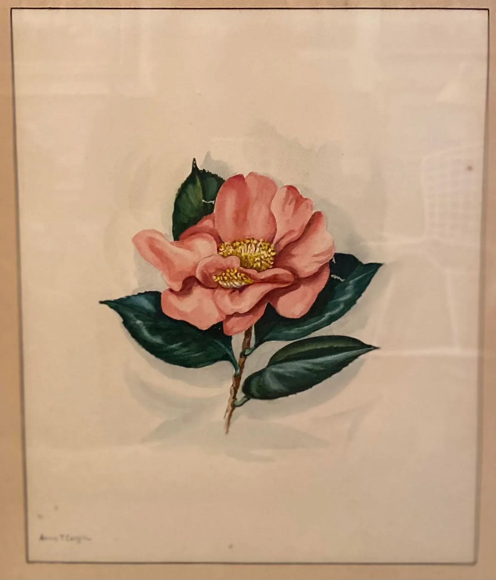 Early 20th Century Floral Watercolor Paintings by Anne Cargill, Framed - a Pair - 3