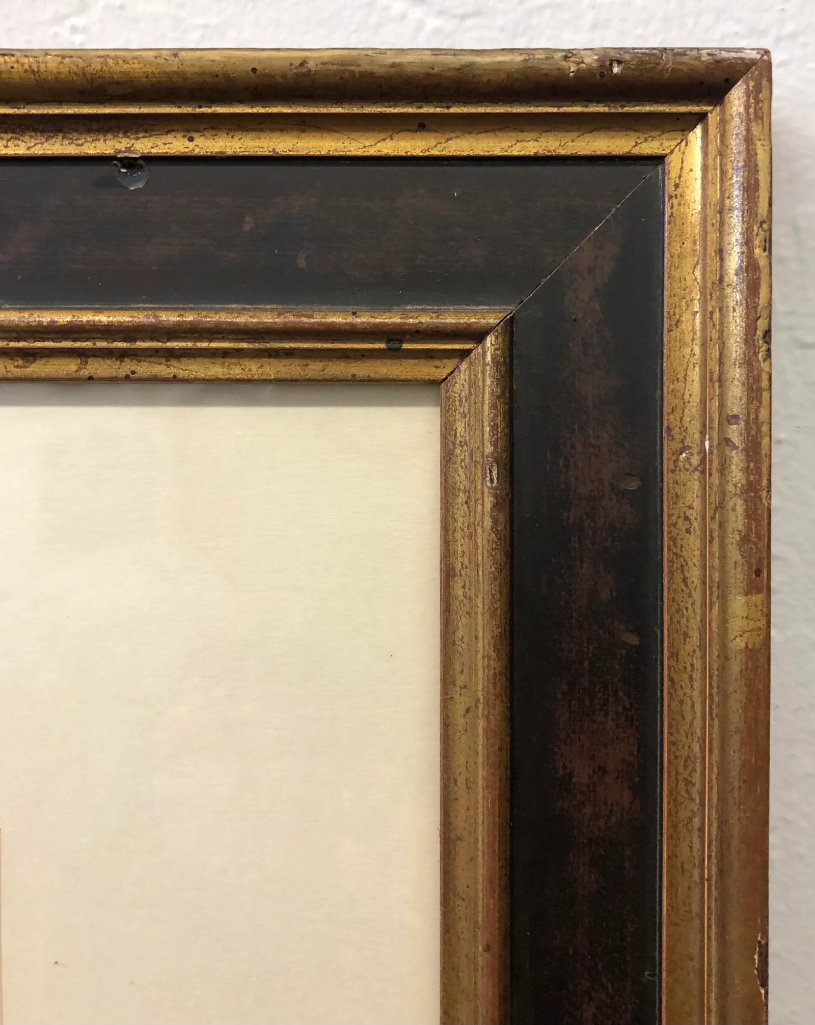 Large Antique Besler Basilius Artichoke Print, Framed - 4