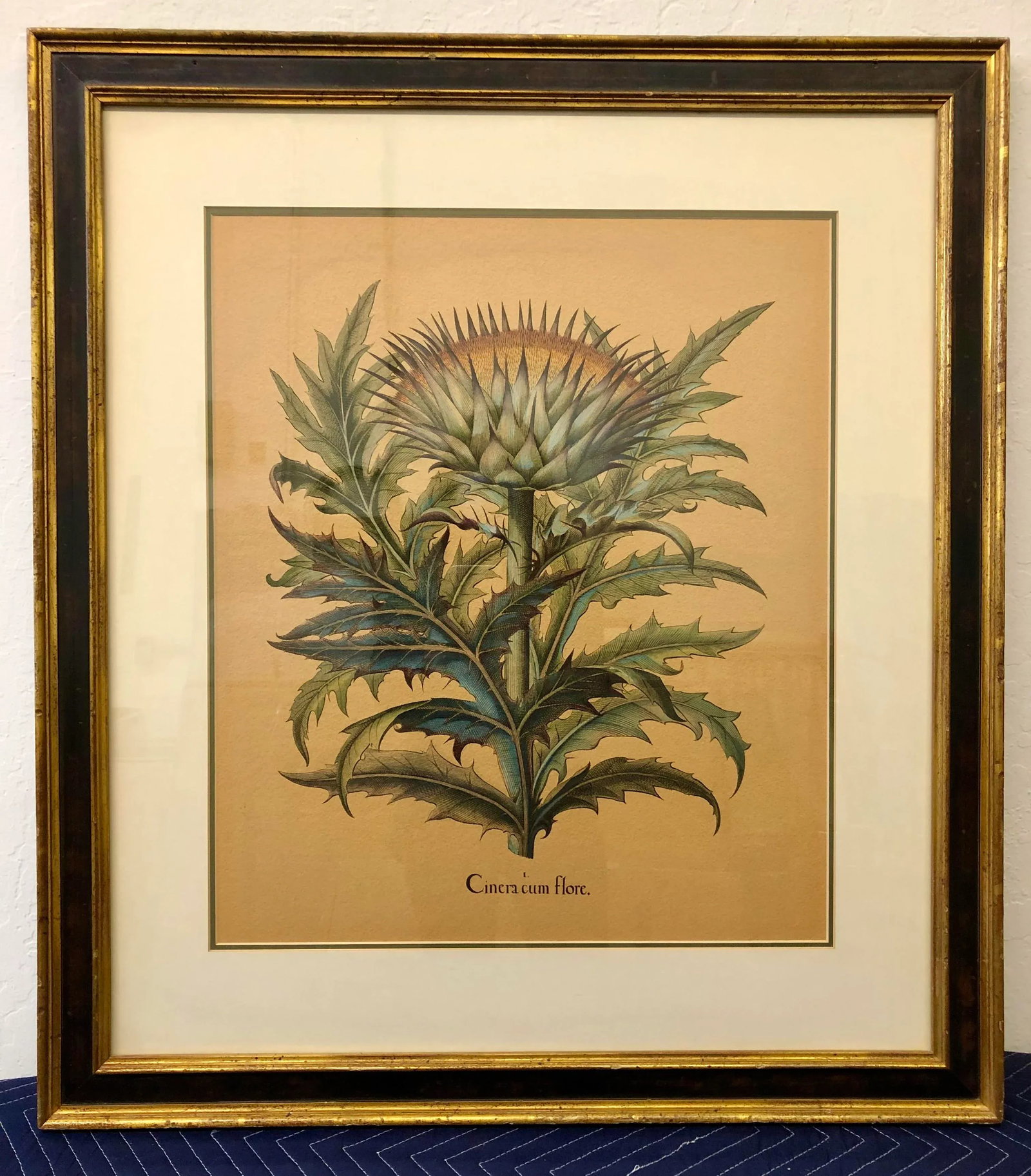 Large Antique Besler Basilius Artichoke Print, Framed - 7