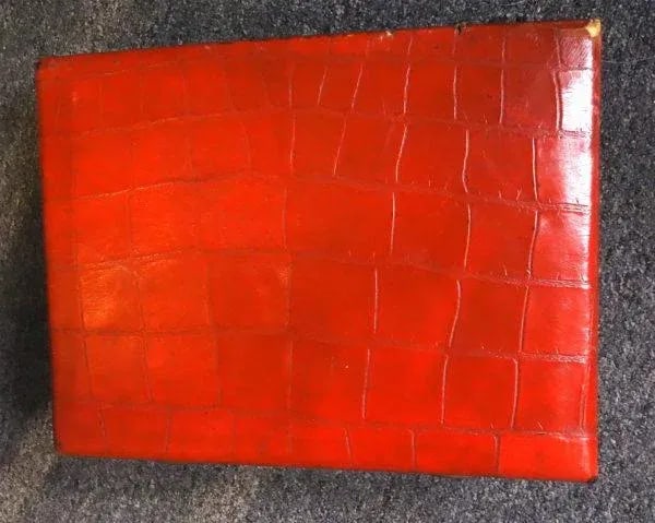 Red Croc Embossed Vintage Leather Decor Case - 4