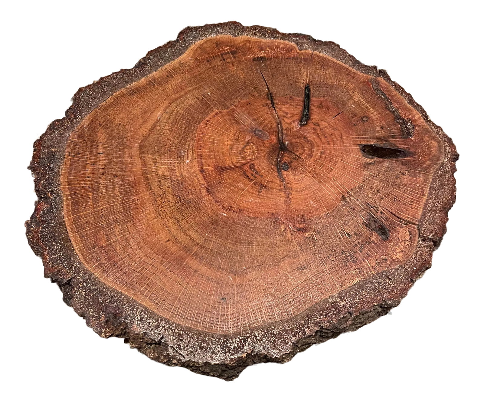 Natural Live Edge Wood Platter (1 of 6)