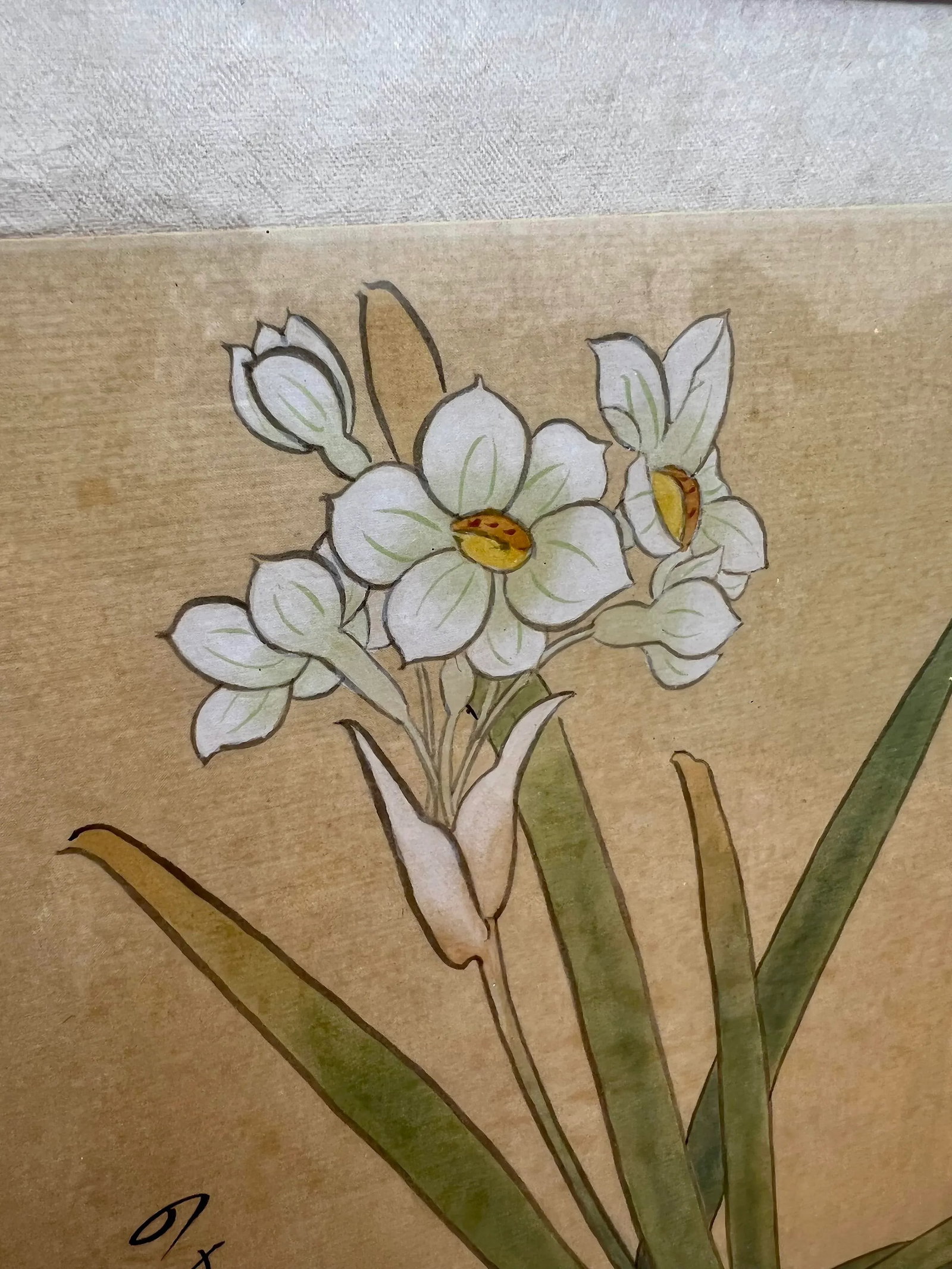 Chinese Paper White Narcissus Bulb Watercolor Gouache Painting on Silk- Framed - 2